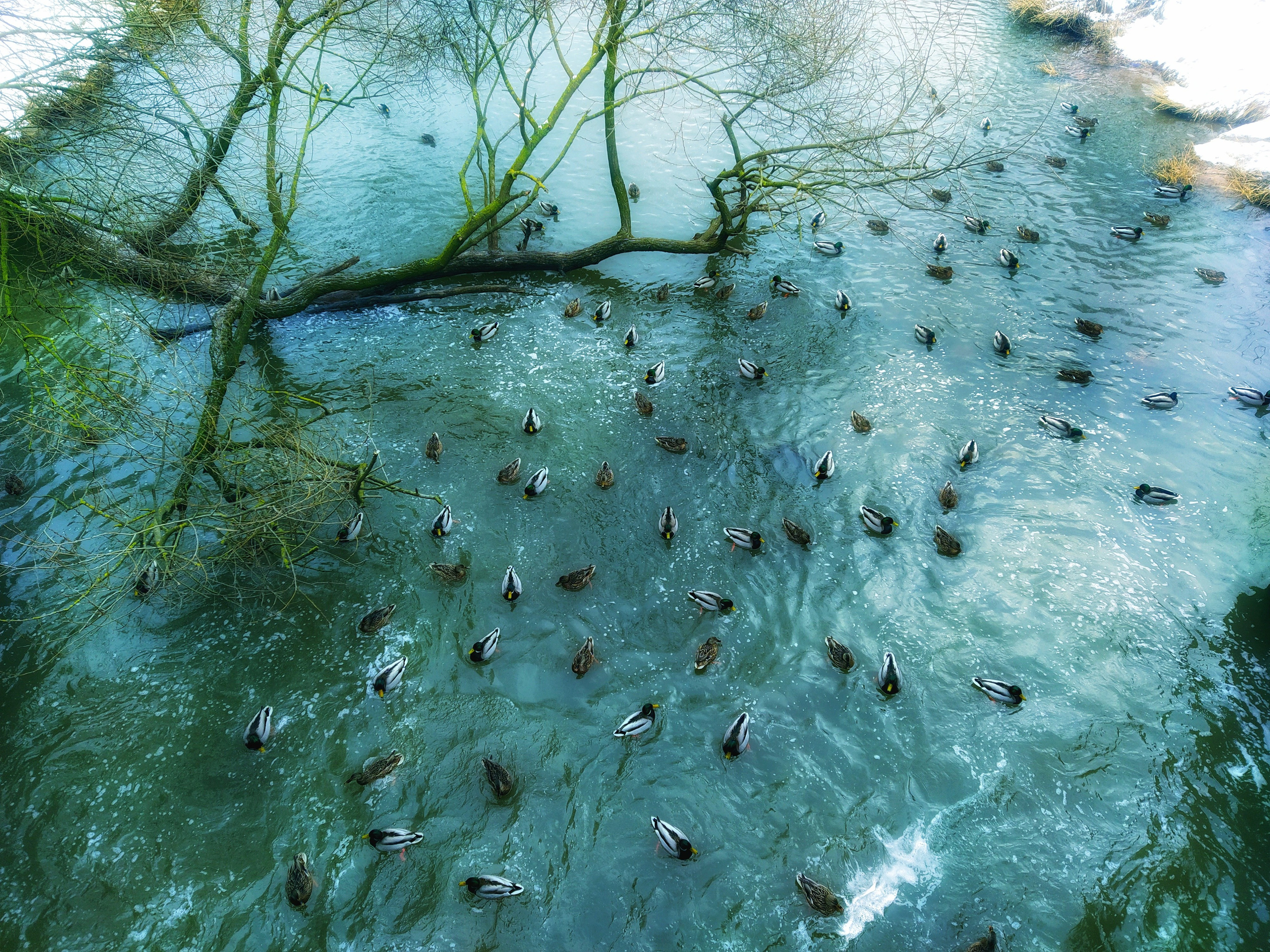 Бесшумная фотография. Tatyana Mazok творческий фотограф в Минске