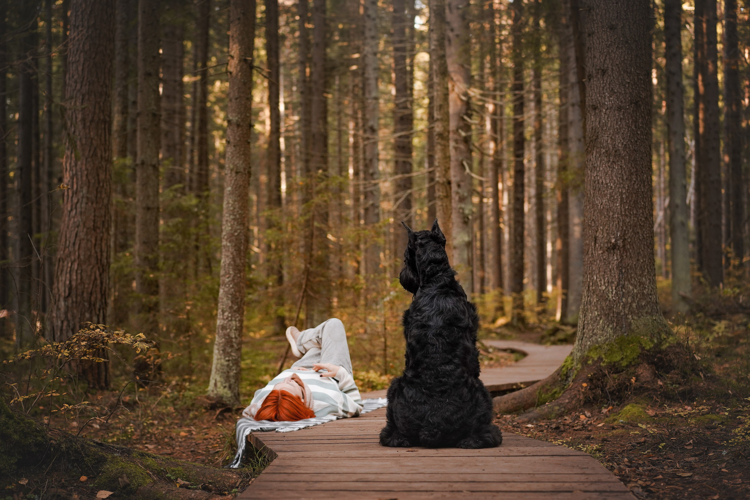 Оля Миша и шнауцеры. Фотограф-анималист в Санкт-Петербурге Яна Мартынова