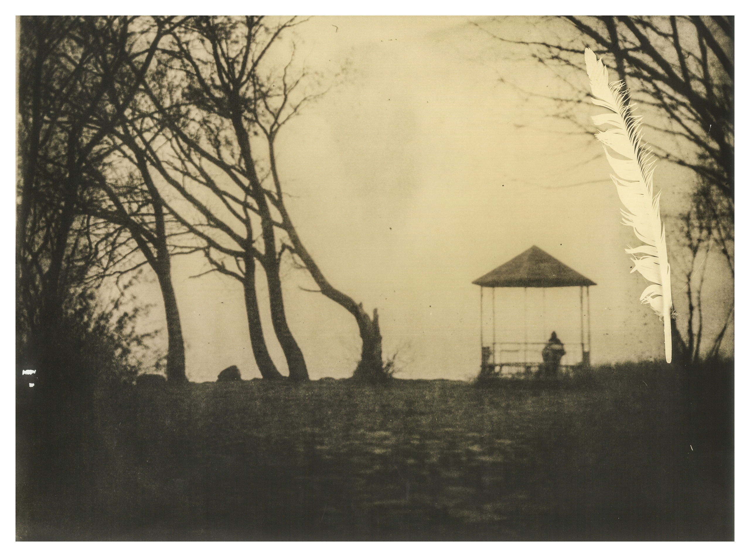 Lith prints. Darkroom aesthetics