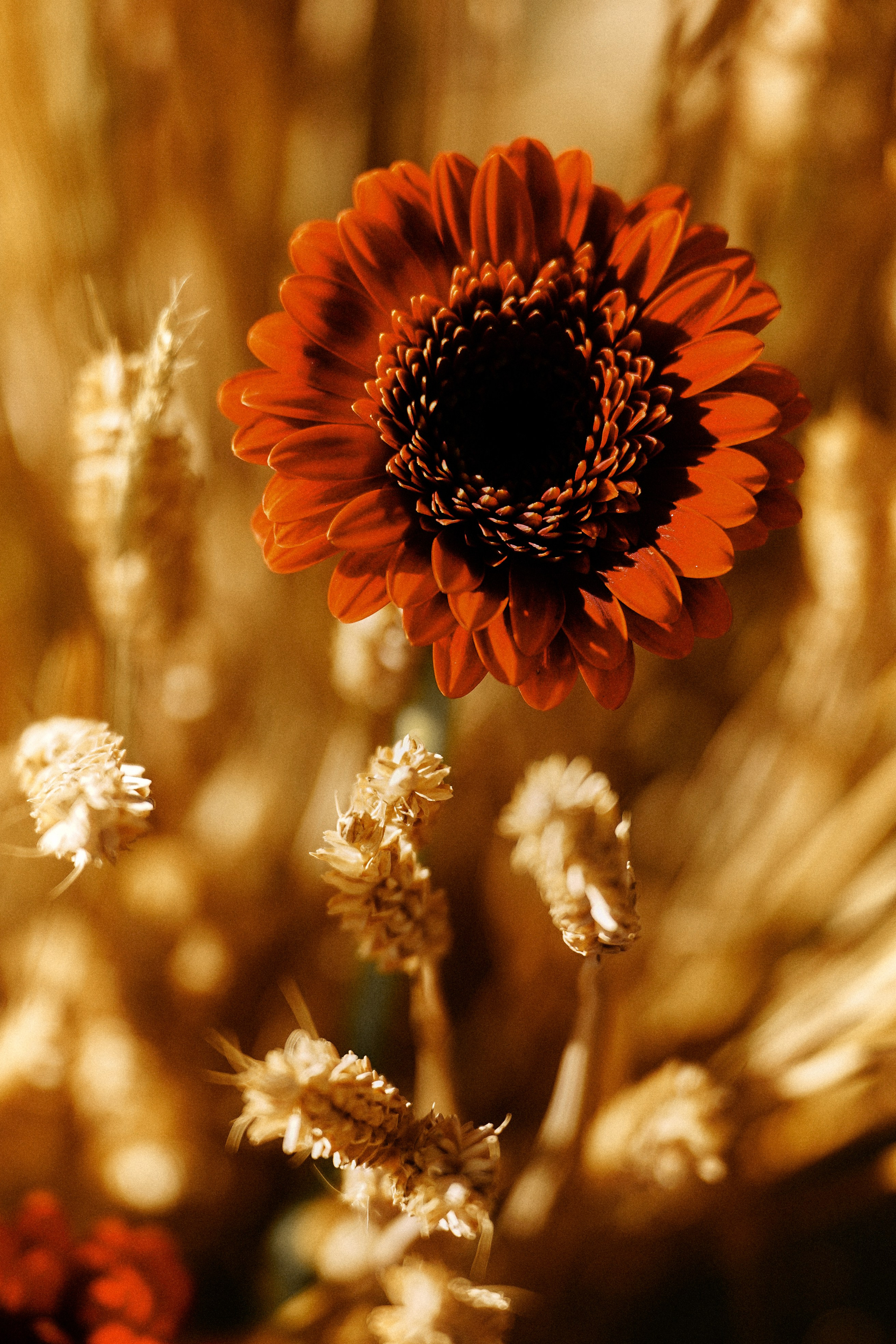 Nikita & Rita. Свадебный фотограф Жучкова Елизавета в Москве