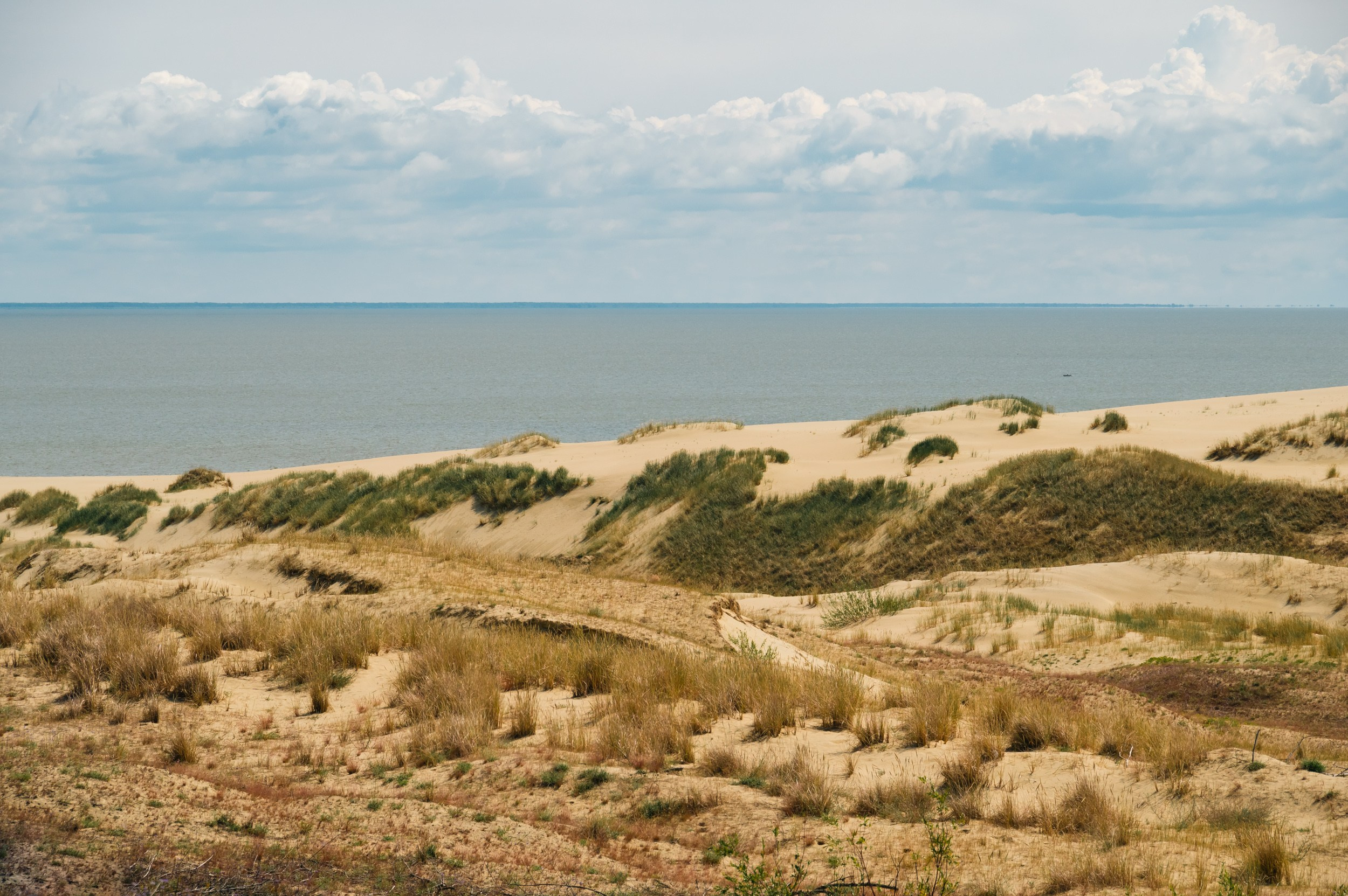 Куршская коса. Фотограф и видеооператор в Туле | Даниил Рыбак