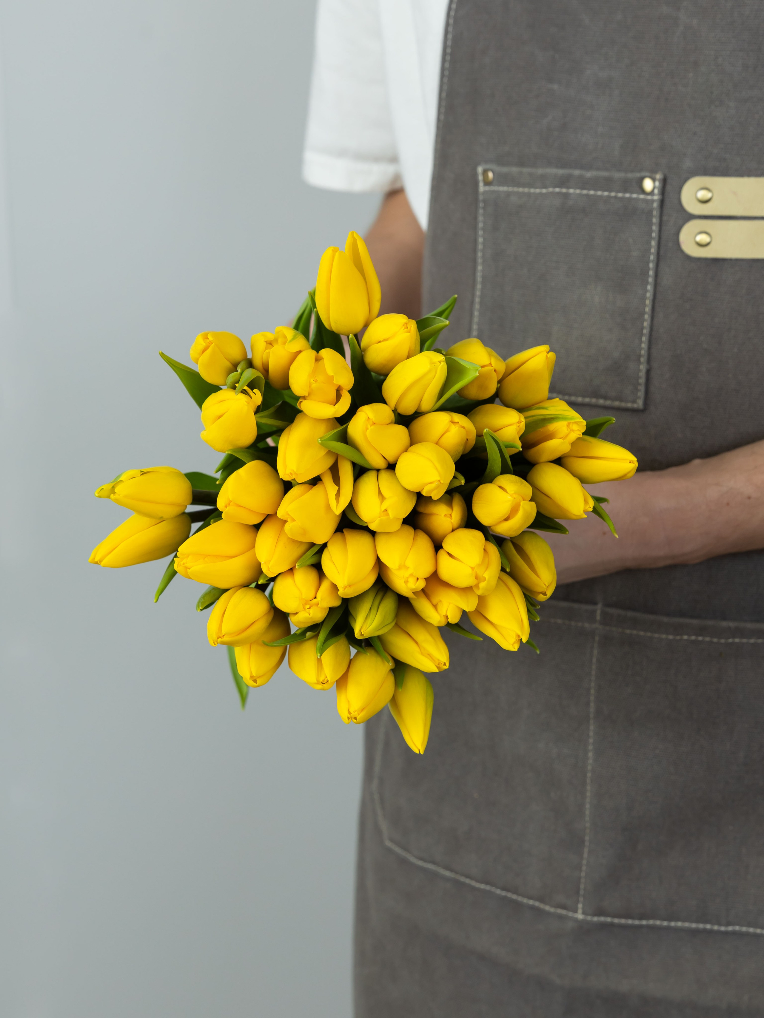 26.02.2026 Цветополис. ФОТОГРАФ ВИНОГРАДОВА ДАРЬЯ