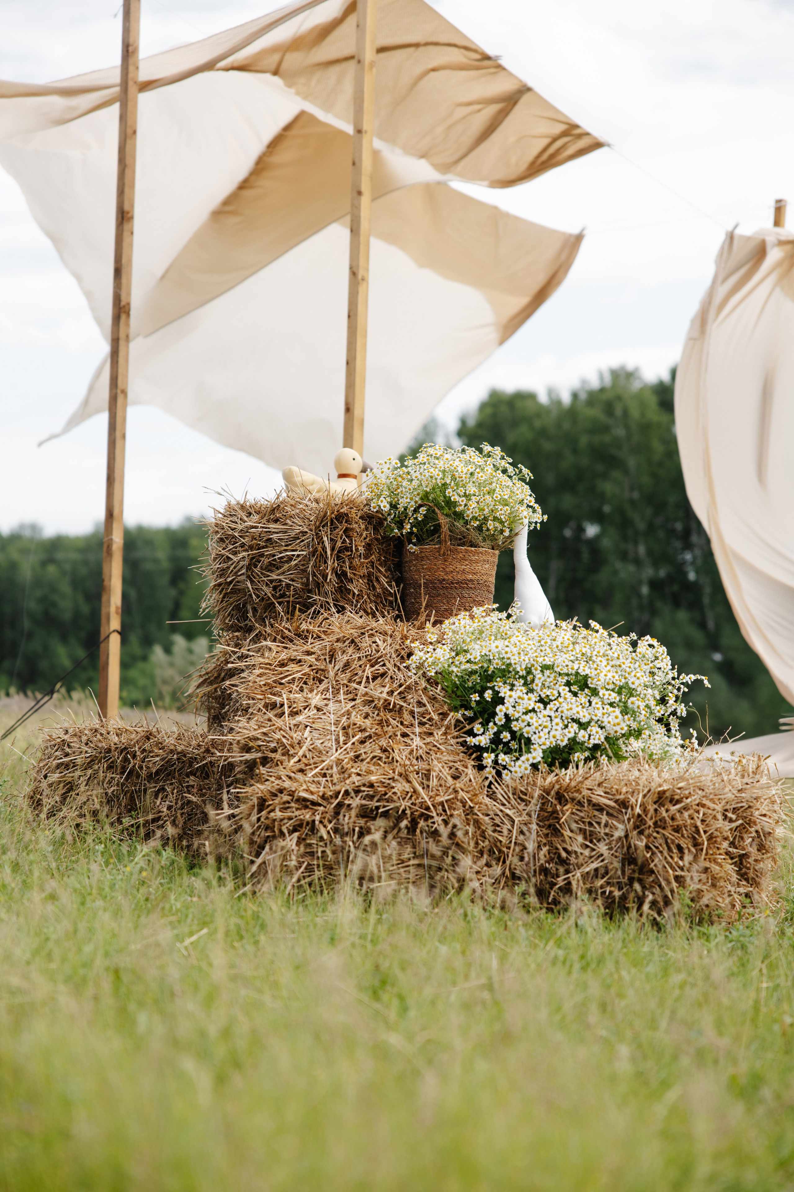 ГЕНДЕР ПАТИ. Фотограф в Красноярске