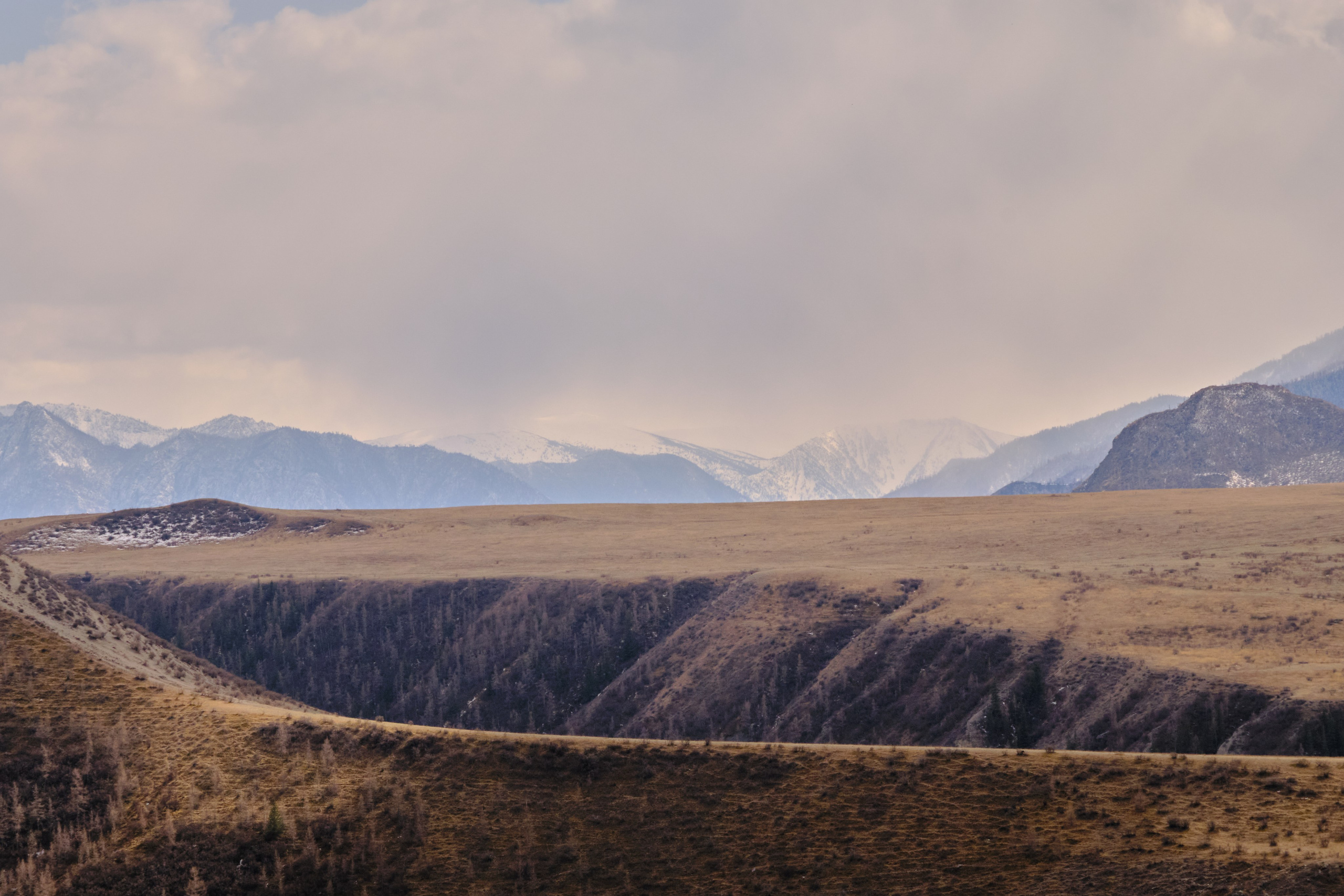 Алтай в ожидании лета. Shaltay Gallery