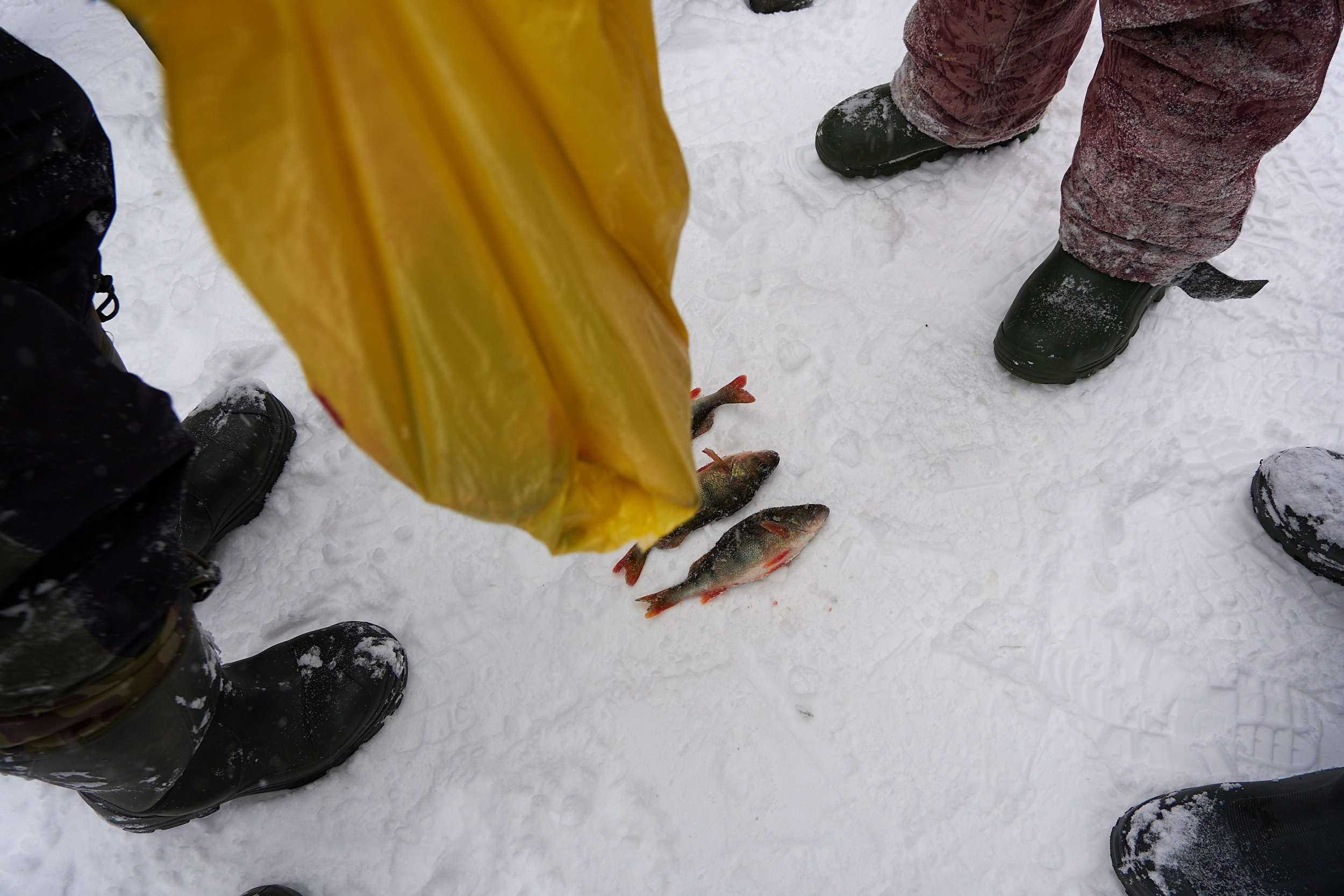 Зимний кубок СДС по рыбной ловле. Семейный фотограф Владимир Просвиркин. г. Самара