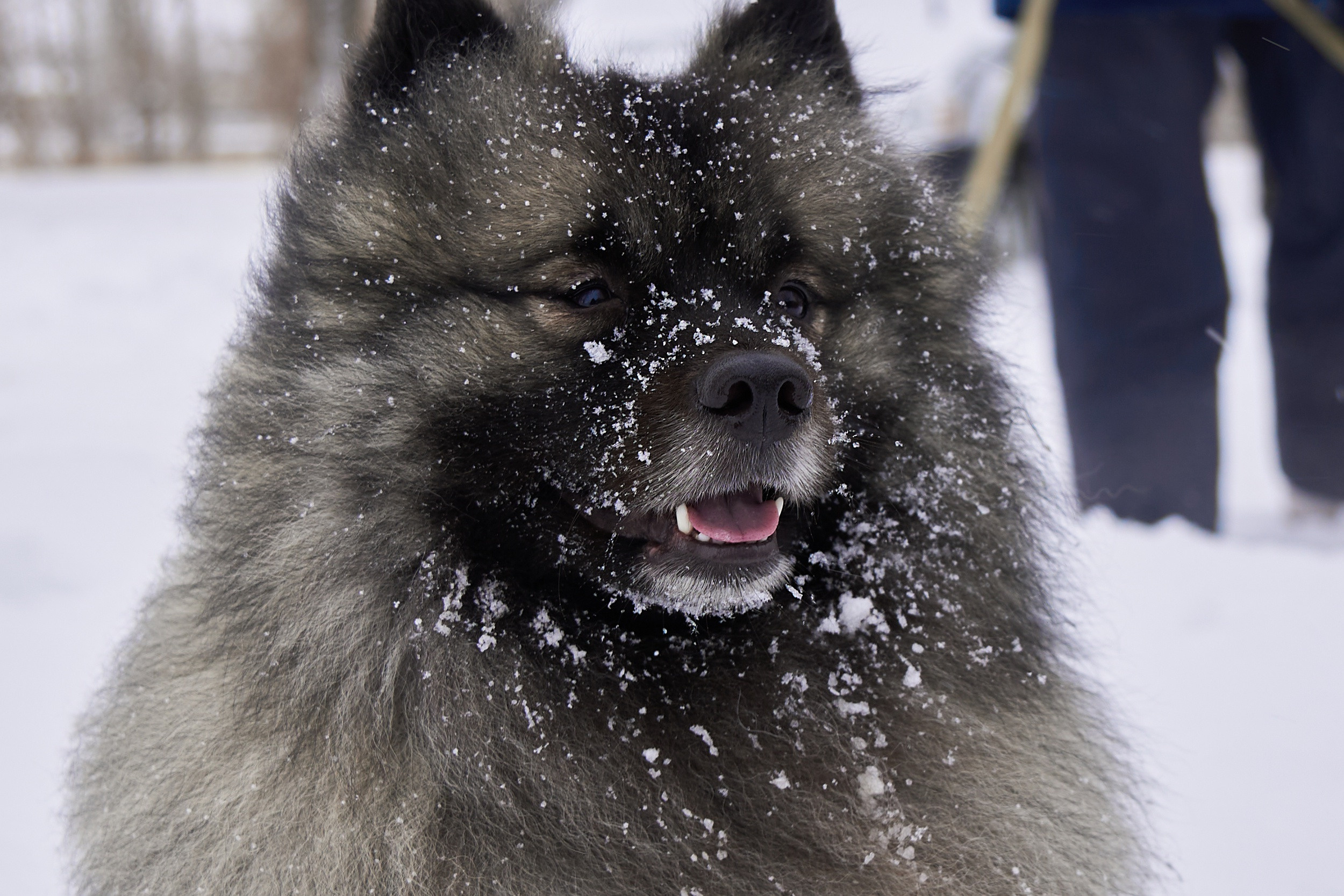 Зимний кубок СДС по рыбной ловле. Семейный фотограф Владимир Просвиркин. г. Самара