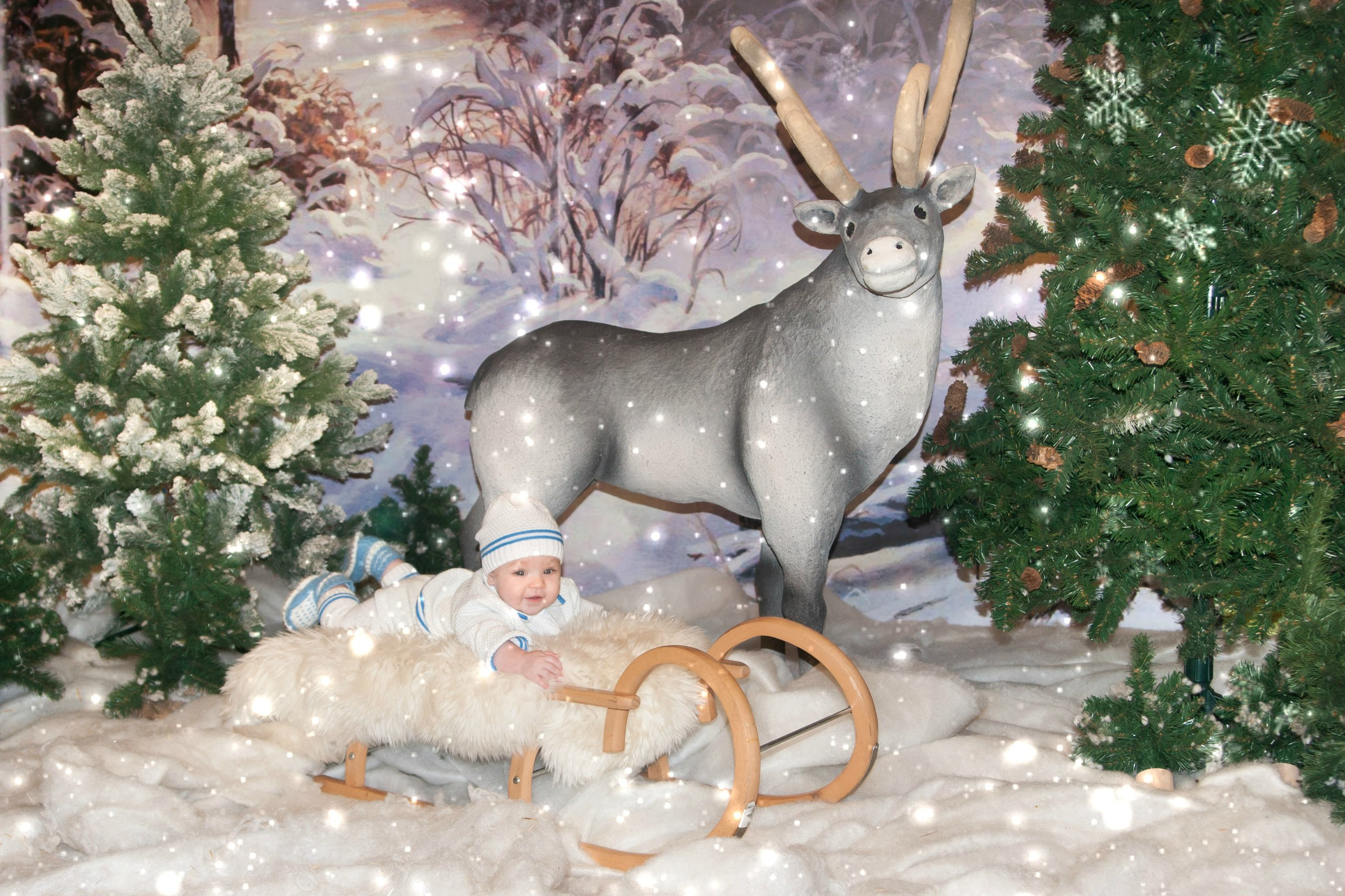 Семейные фотосессии. Семейный фотограф Владимир Просвиркин. г. Самара