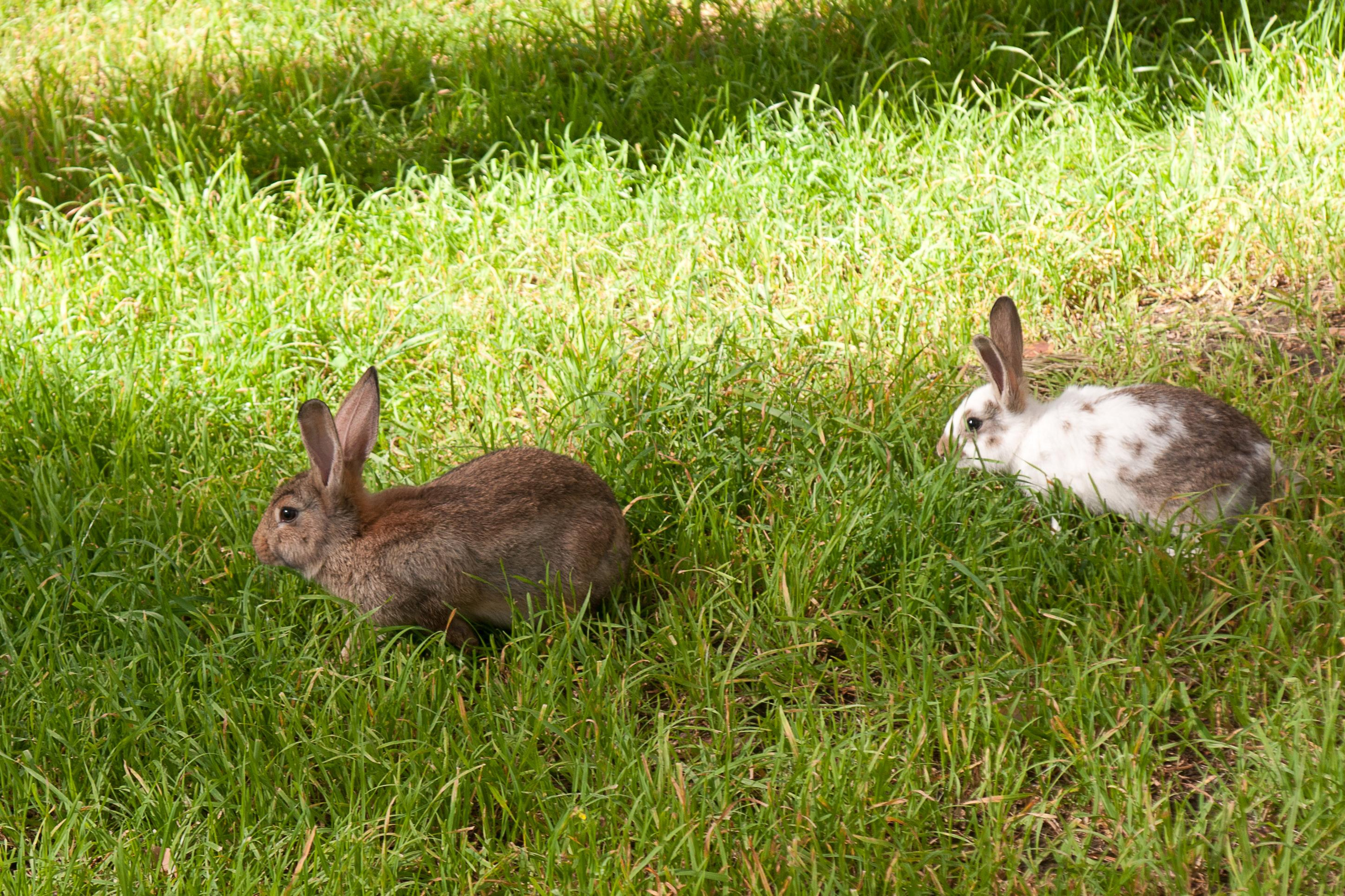 Удивительное рядом. Семейный фотограф Владимир Просвиркин. г. Самара