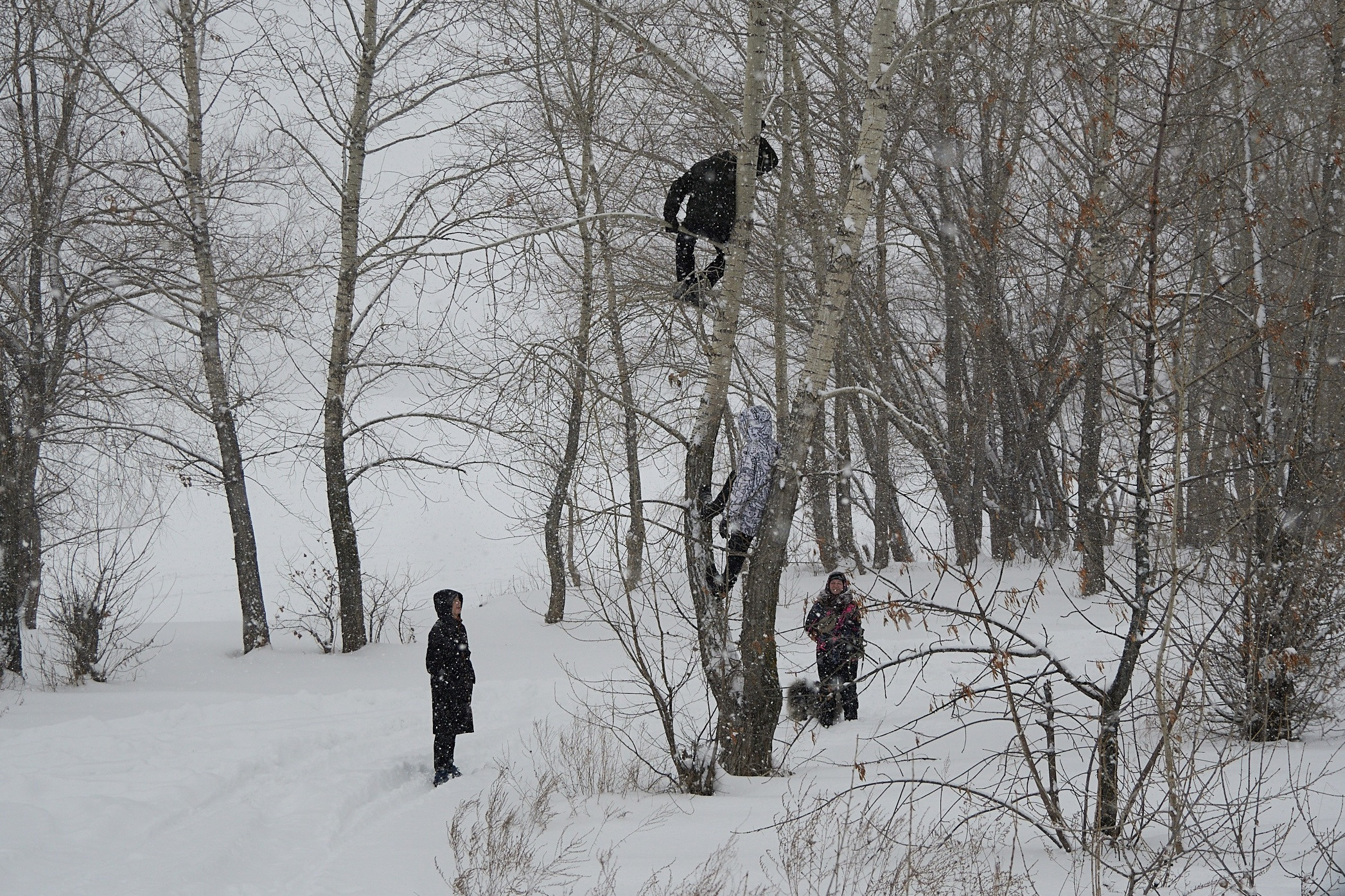 Зимний кубок СДС по рыбной ловле. Семейный фотограф Владимир Просвиркин. г. Самара