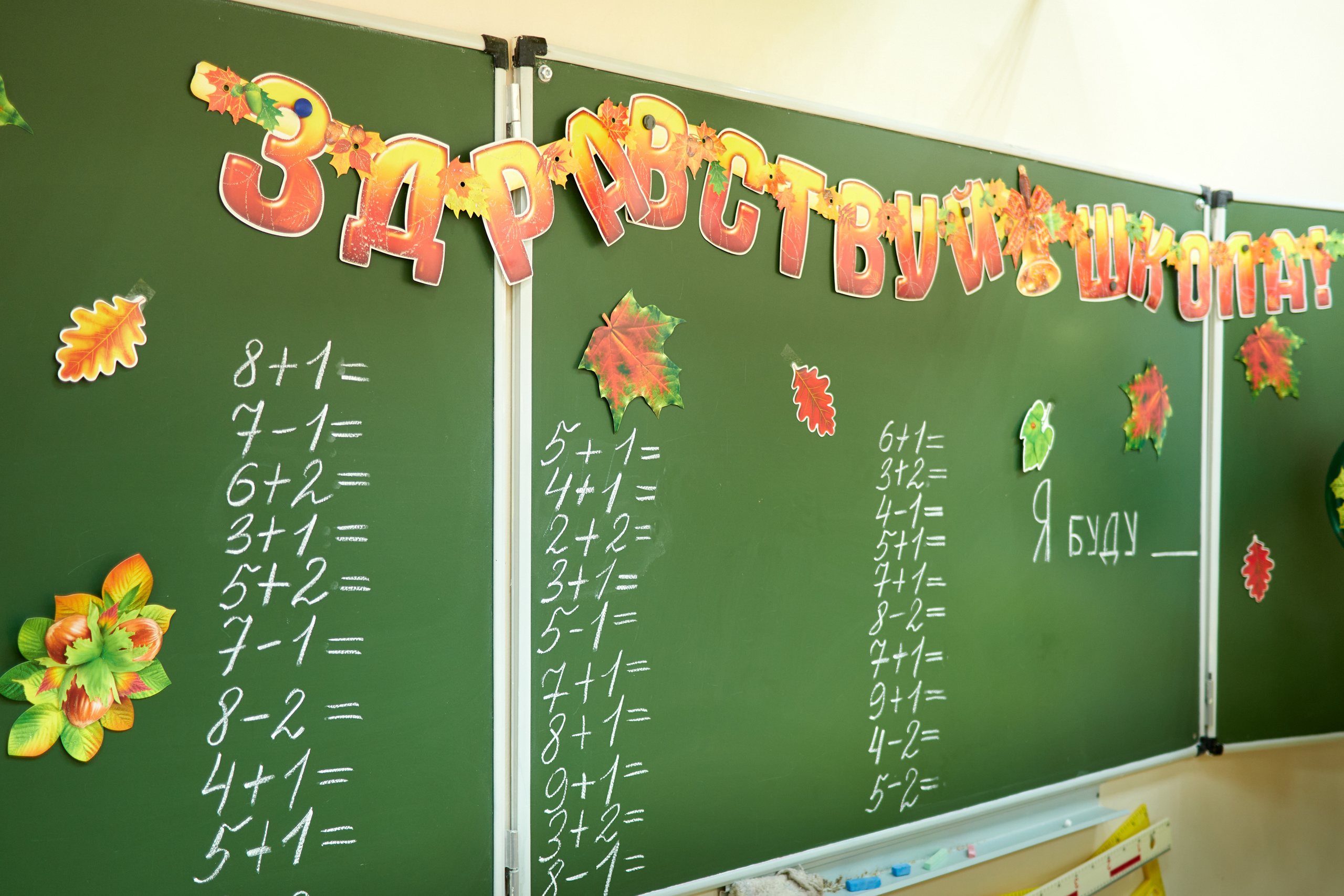 1 Сентября. Семейный фотограф Владимир Просвиркин. г. Самара