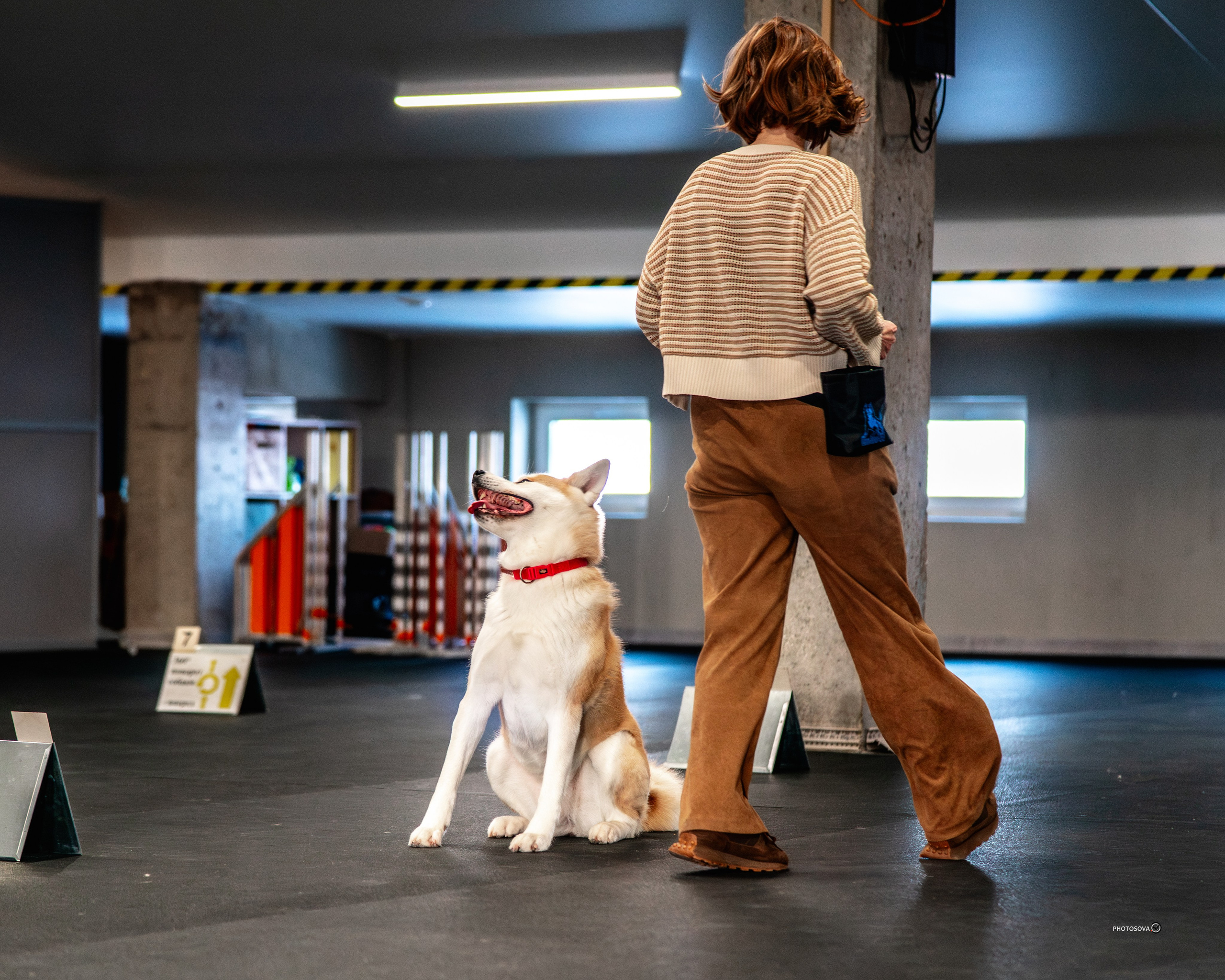 ТЫ И Я (соревнования по ралли-обидиенс). Фотограф-анималист, семейный фотограф в Москве и Подмосковье. Фотосъёмка кинологических дисциплин
