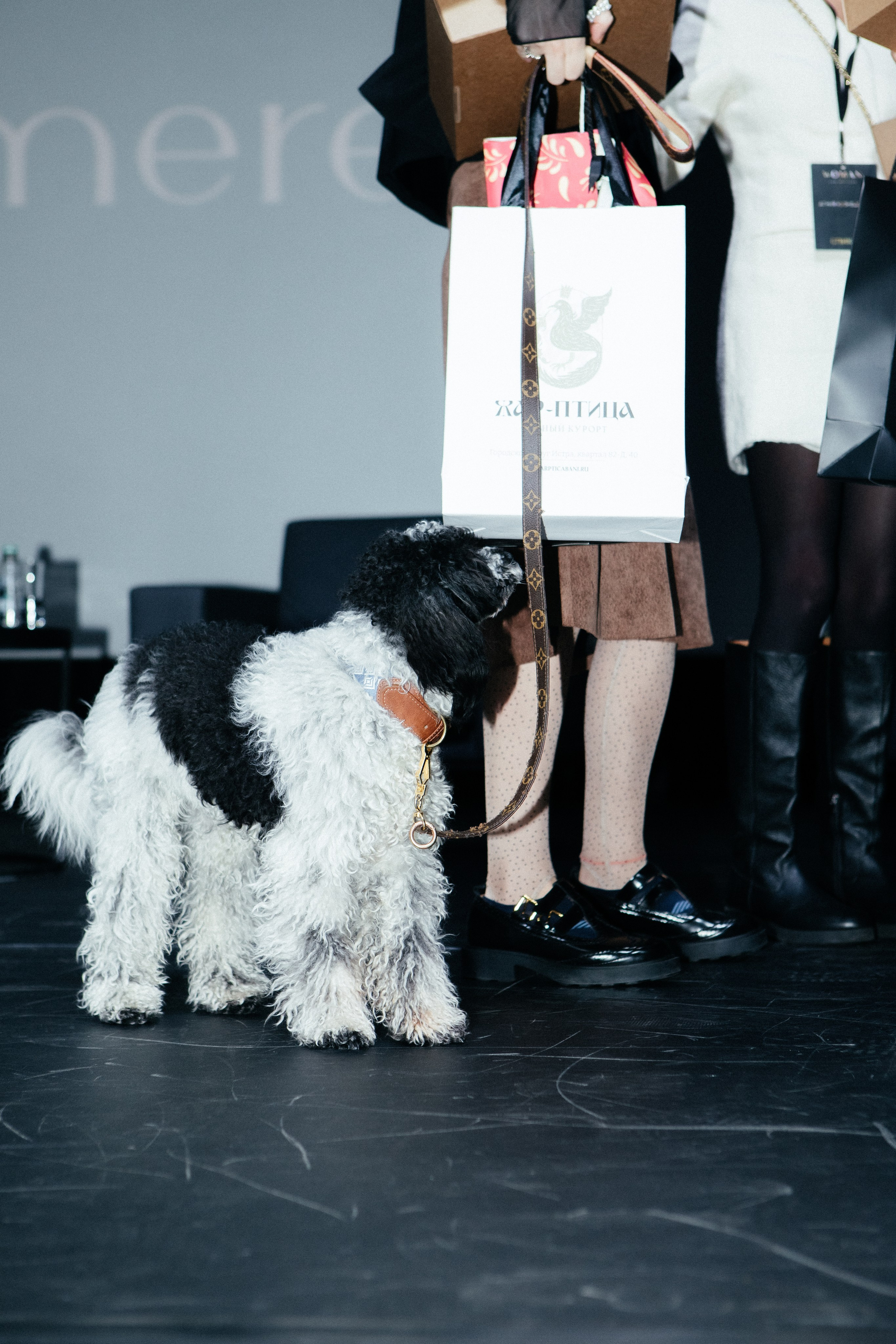 Конфереции. Фотограф в Москве Серегина Екатерина