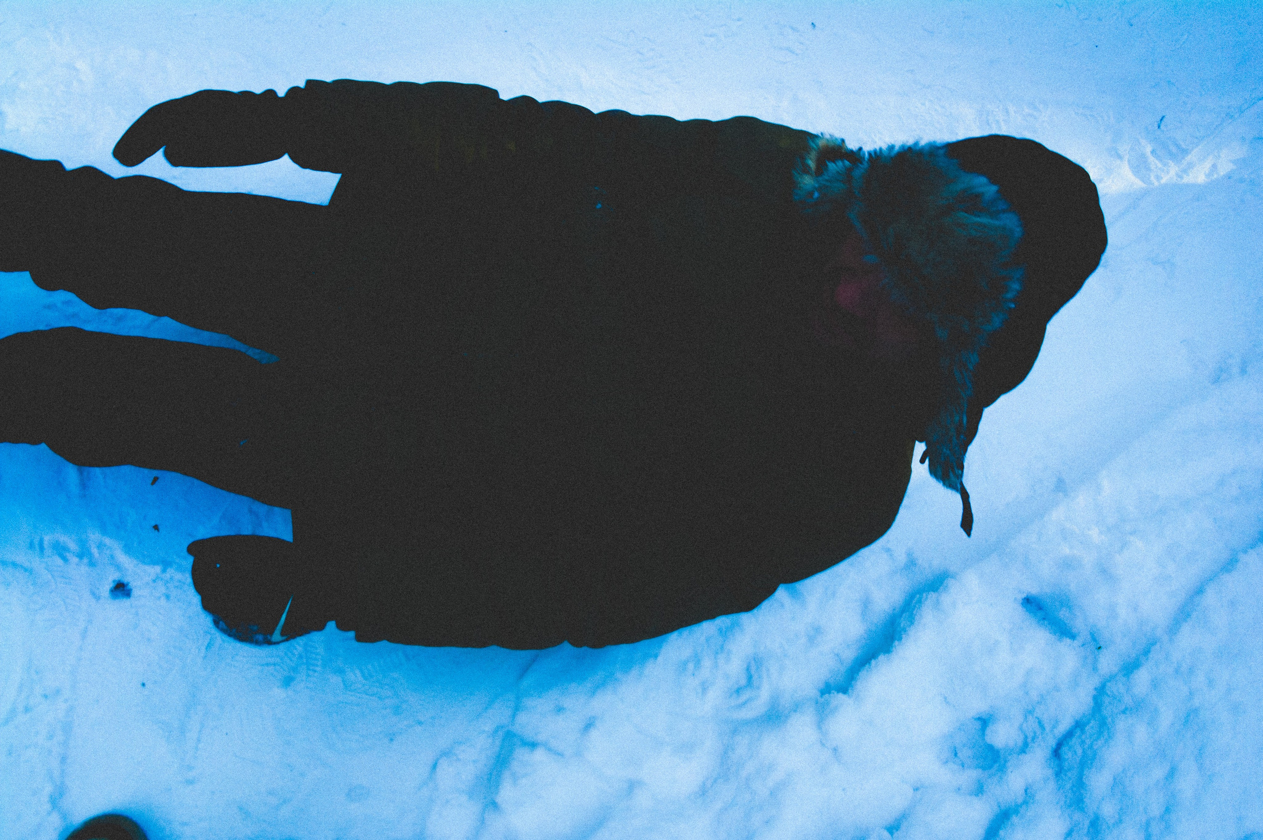 Тропа здоровья. Den Mirov — Фотограф, Музыкант