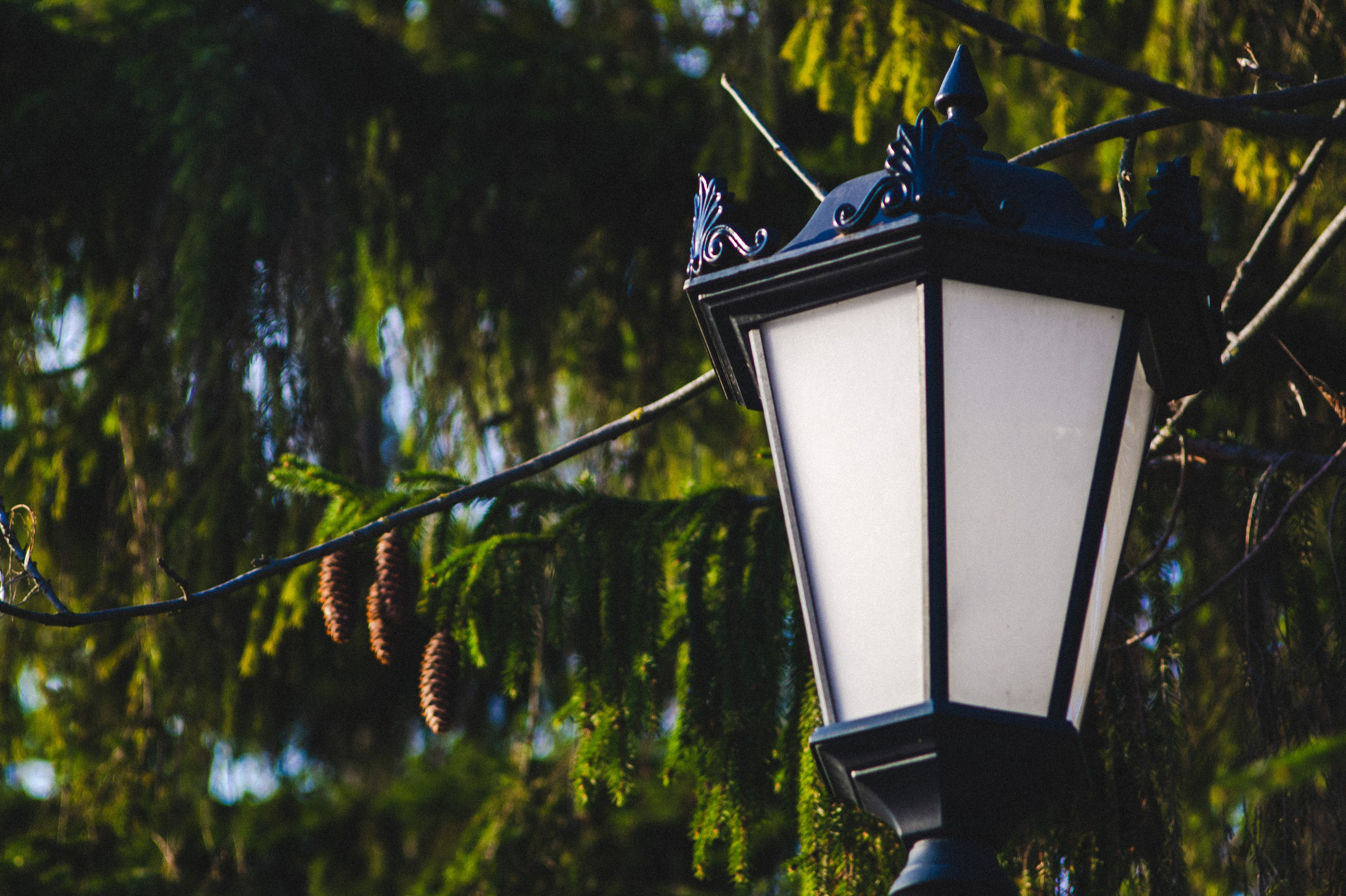 Борьба света и мрака. Den Mirov — Фотограф, Музыкант