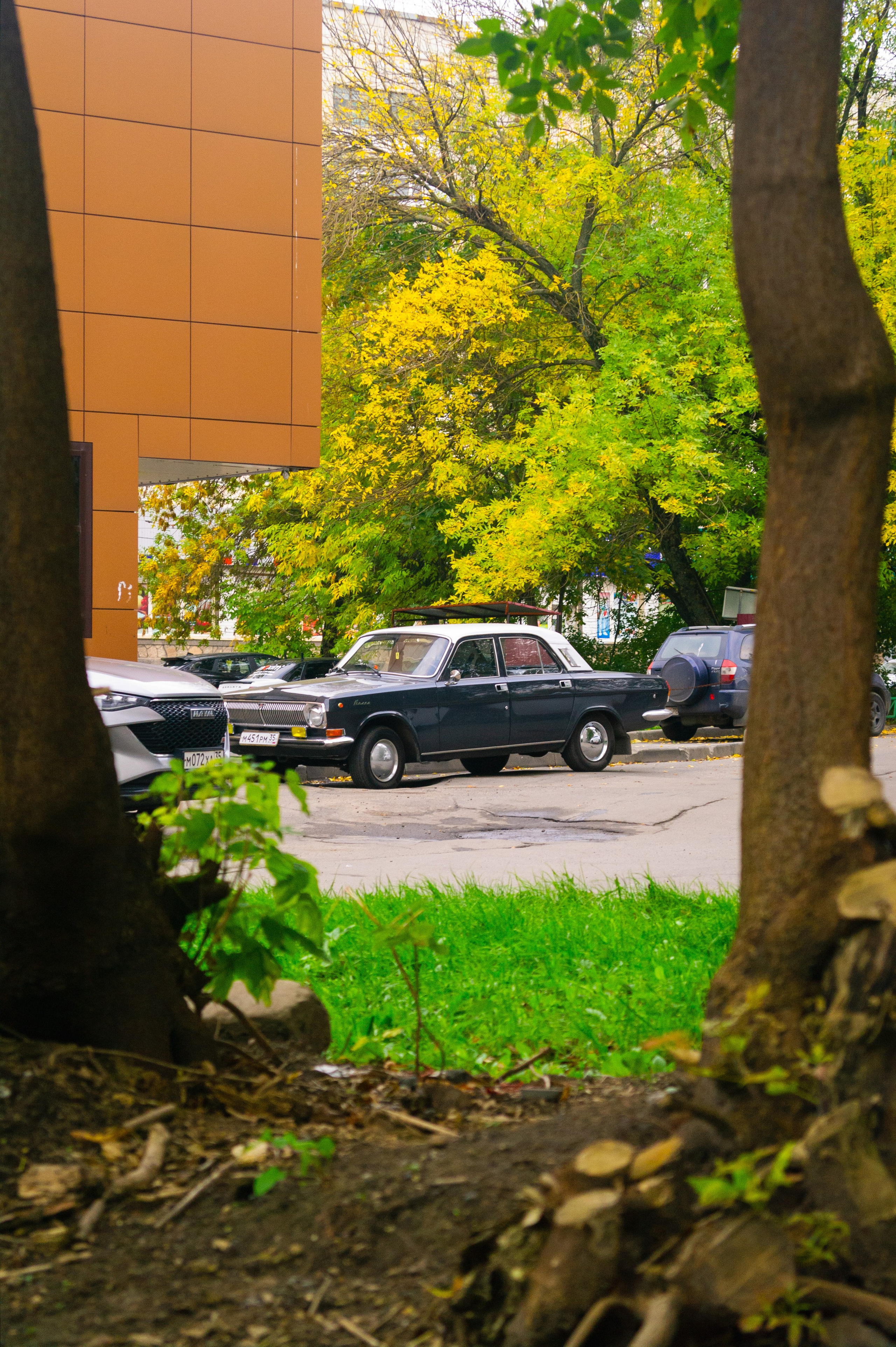 Сентябрь 2025. Den Mirov — Фотограф, Музыкант