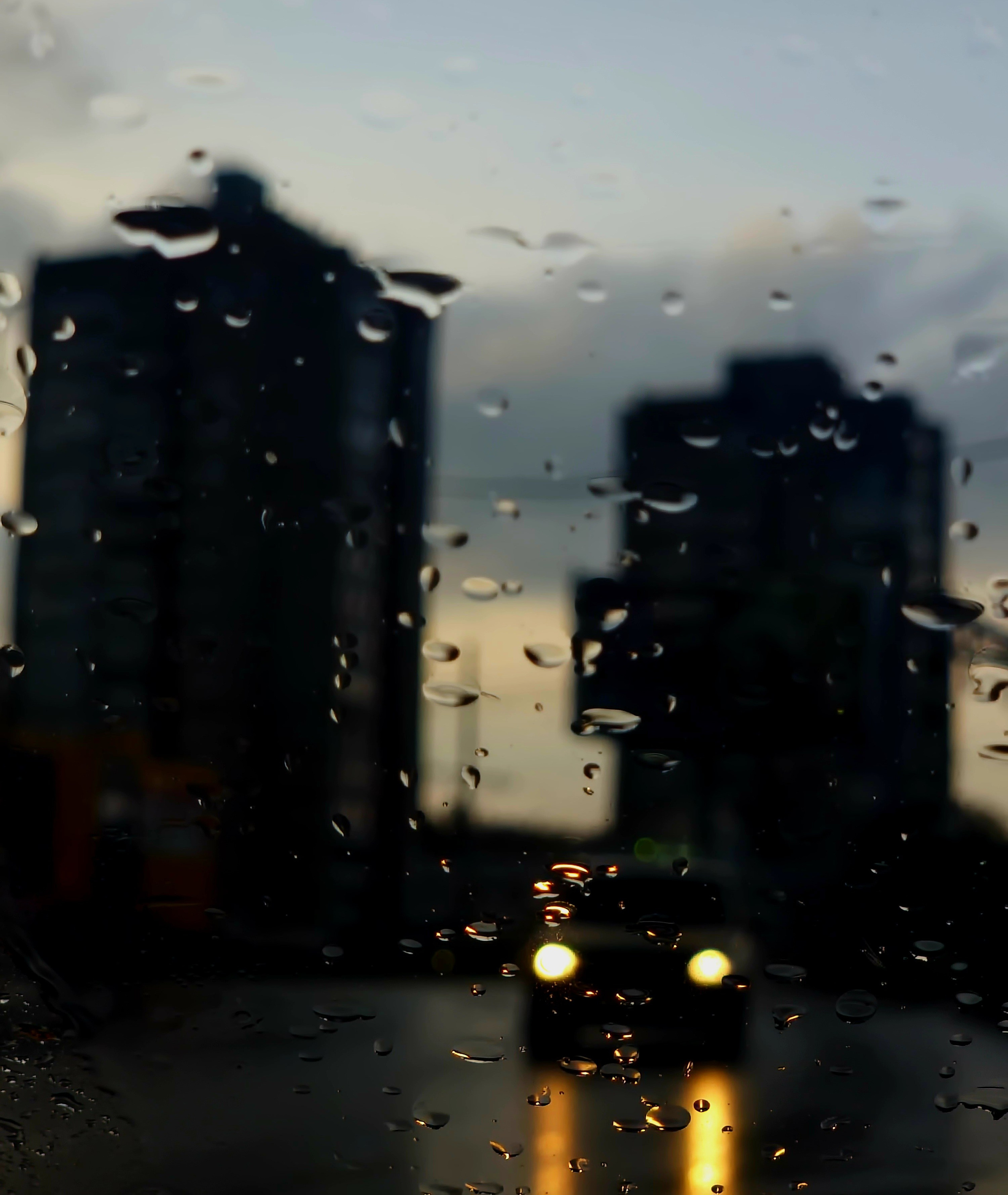 Август 2025. Den Mirov — Фотограф, Музыкант