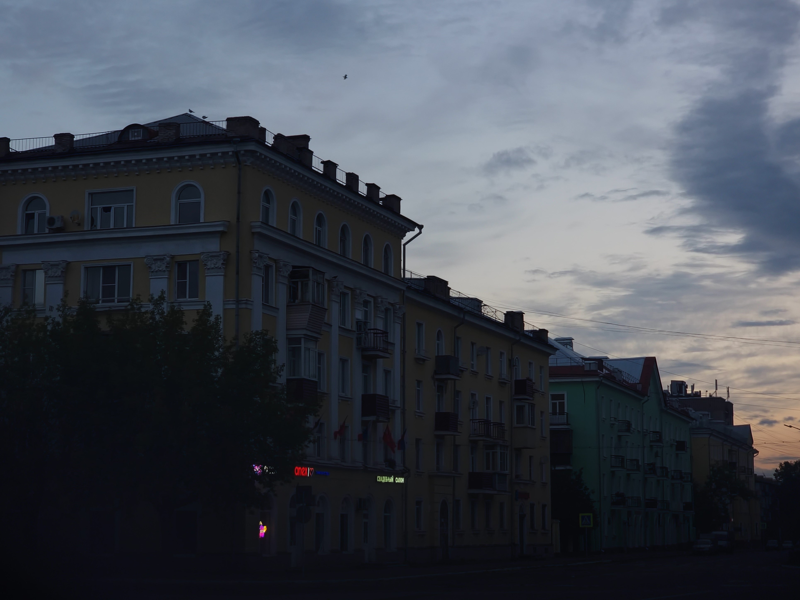 Август 2025. Den Mirov — Фотограф, Музыкант