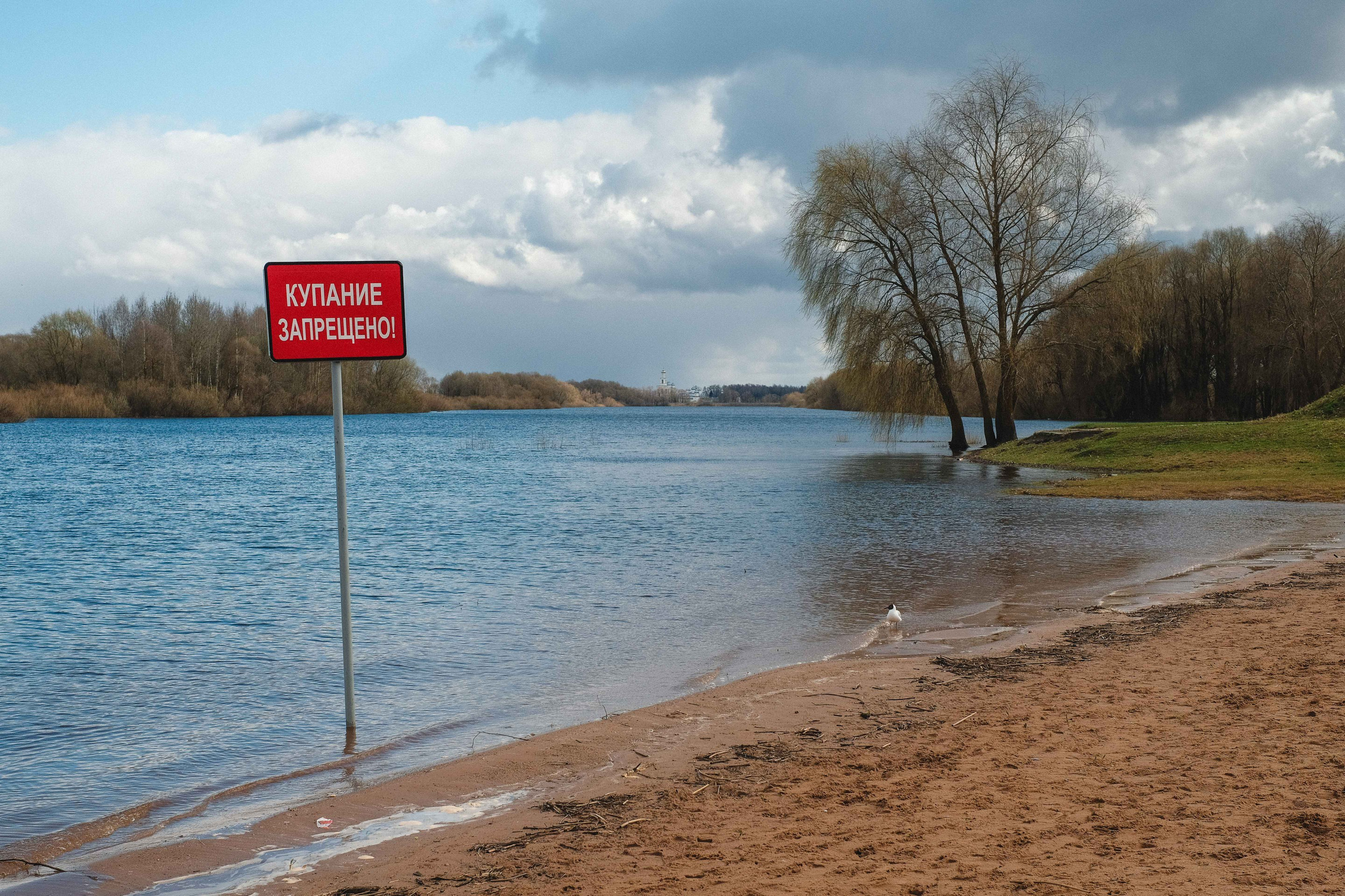 2022.05. Фотограф Алексей Алексеев