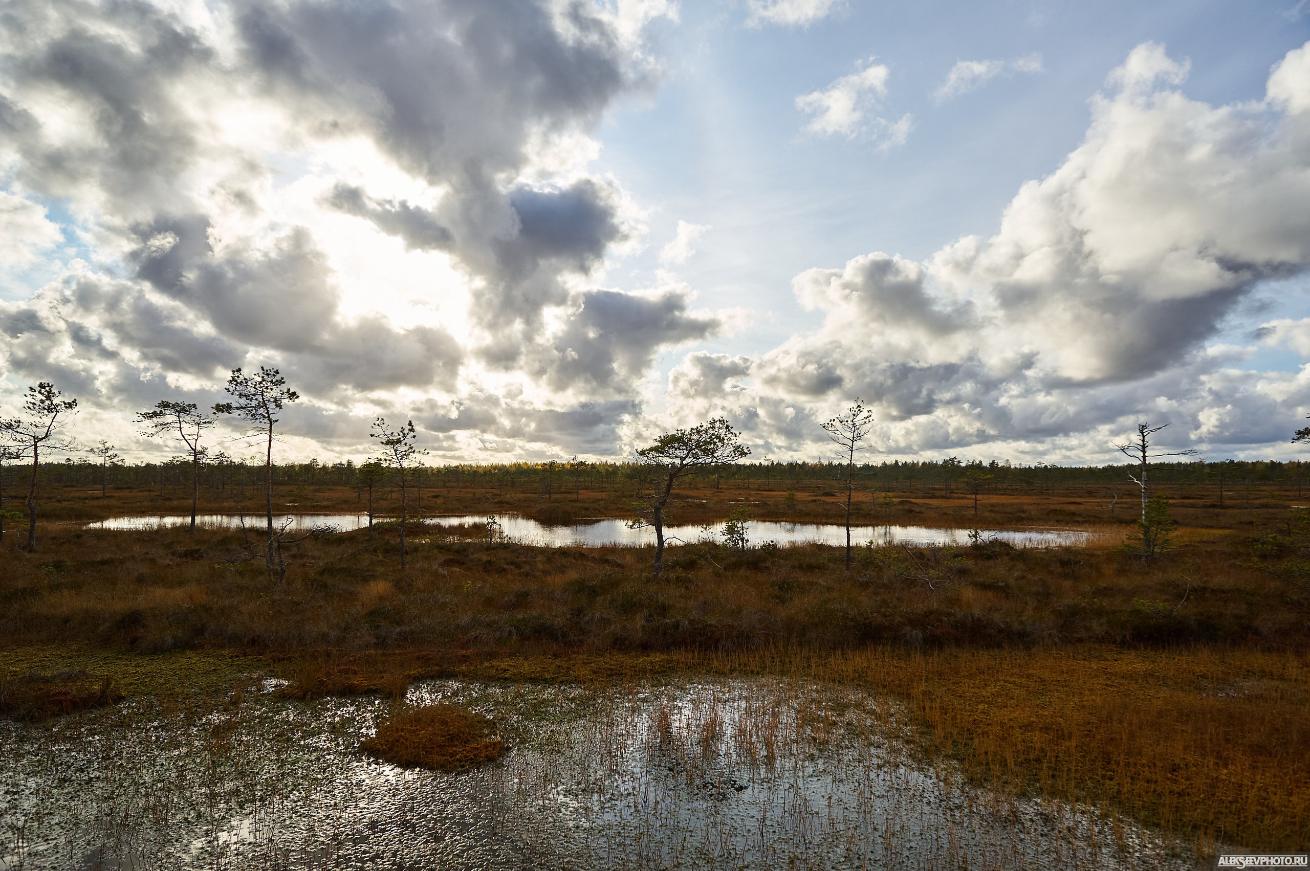 2020.10.10 — Финал Кубка ДОСААФ — спецучастки 1го дня. Фотограф Алексей Алексеев