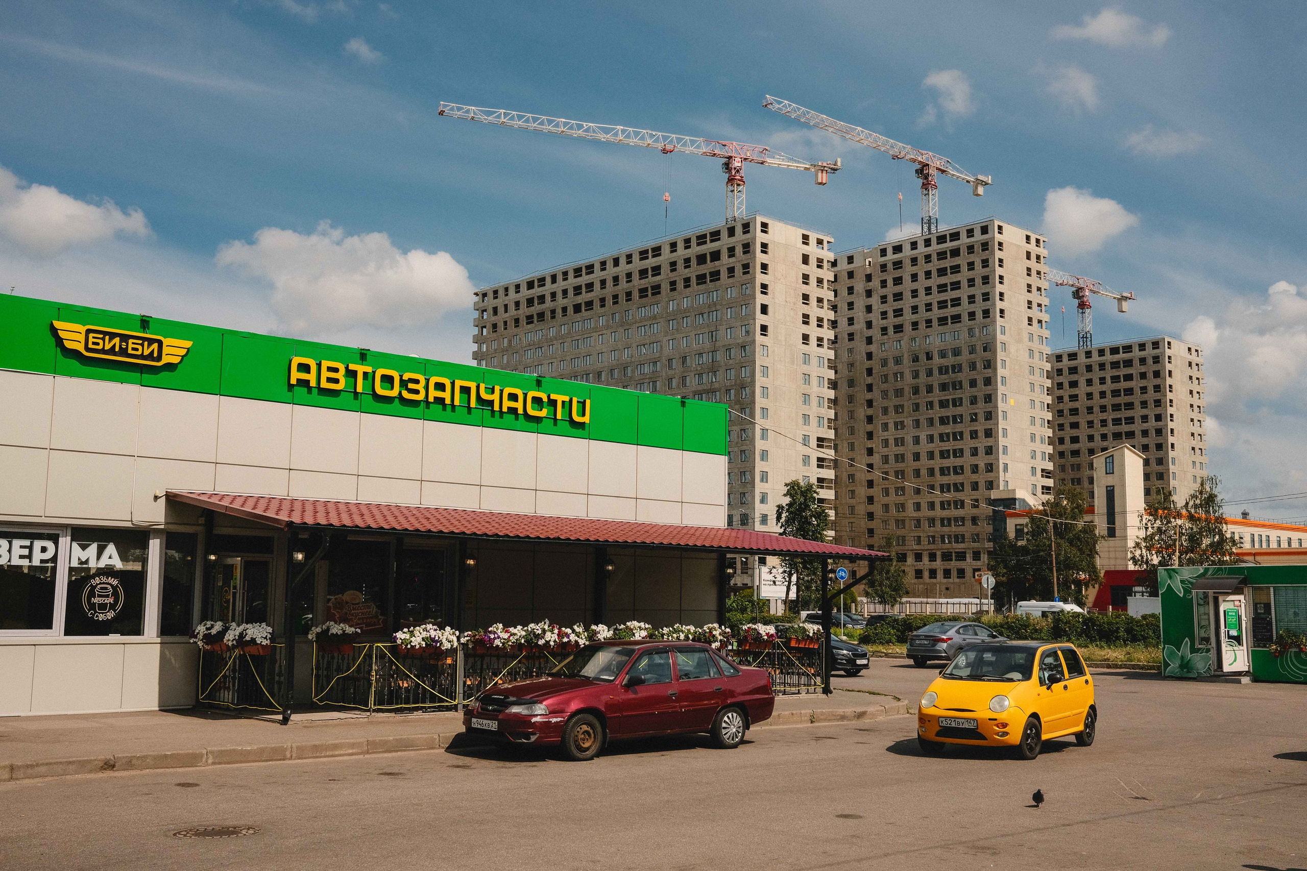 2023.07. Фотограф Алексей Алексеев