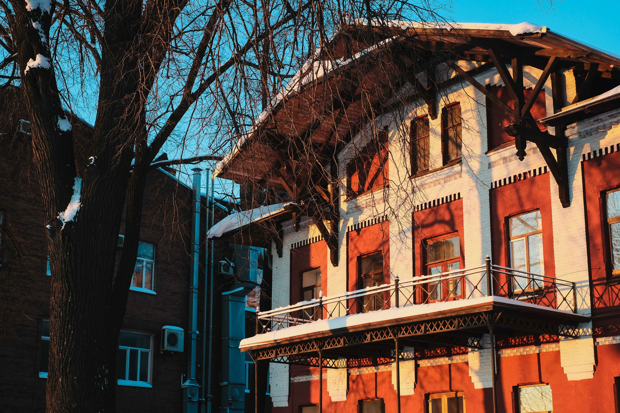 2021.12. Фотограф Алексей Алексеев