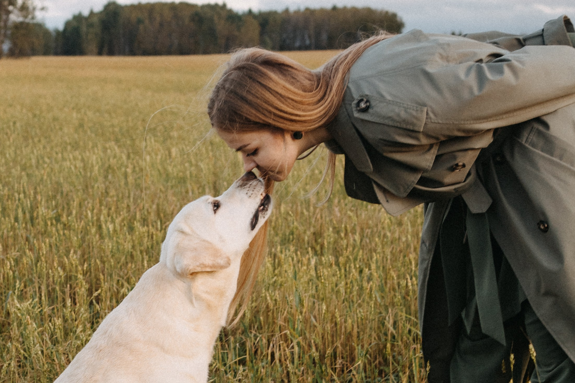 Дана и Арчи. Фотограф-анималист Анастасия Большакова