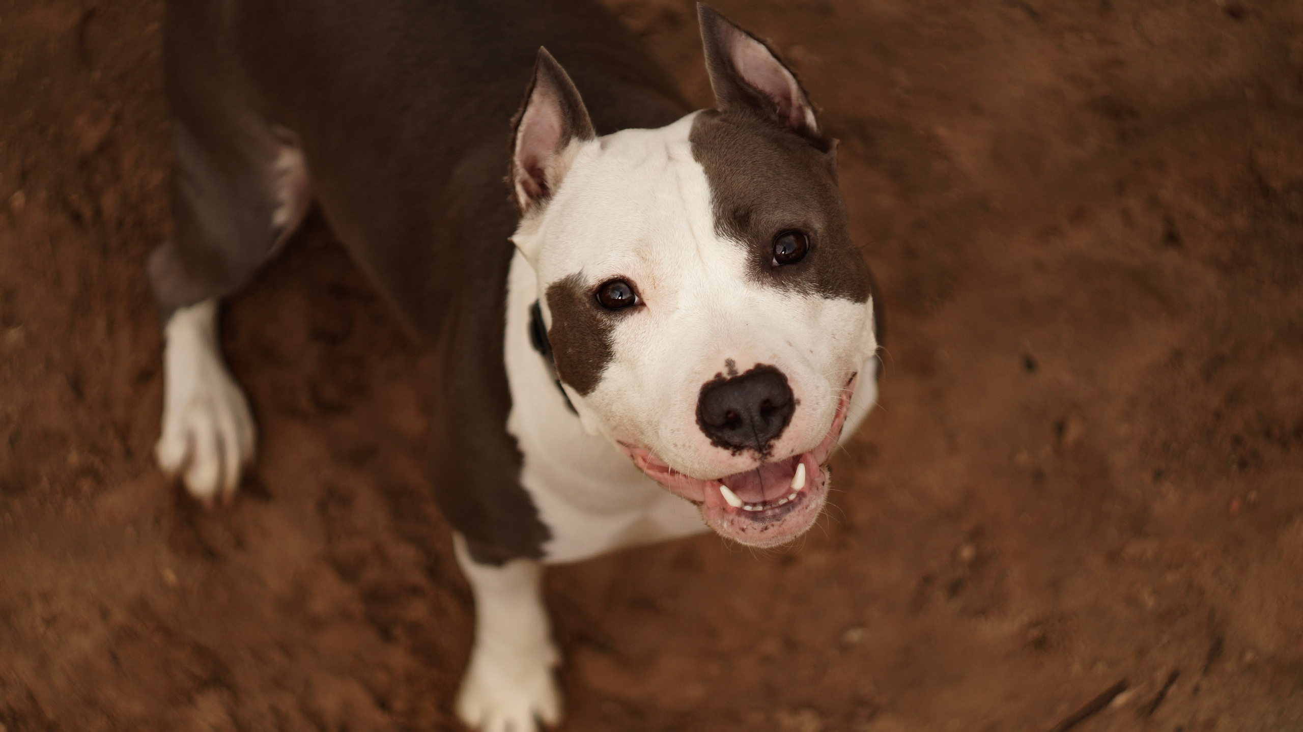 Луна. Профессиональный фотограф