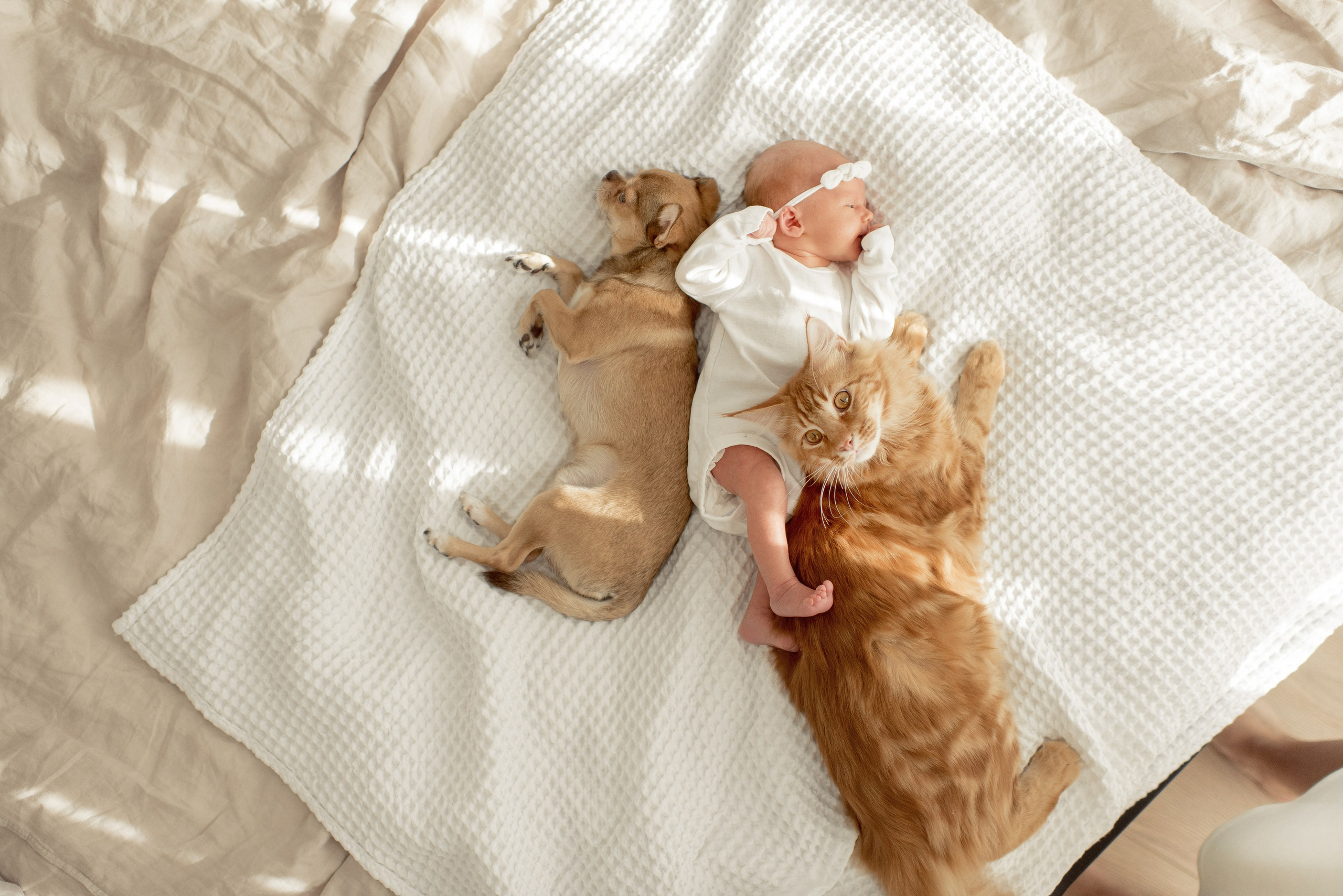 МИА_ВИКТОРИЯ. Свадебный и семейный фотограф РИТА БОЧКАРЁВА