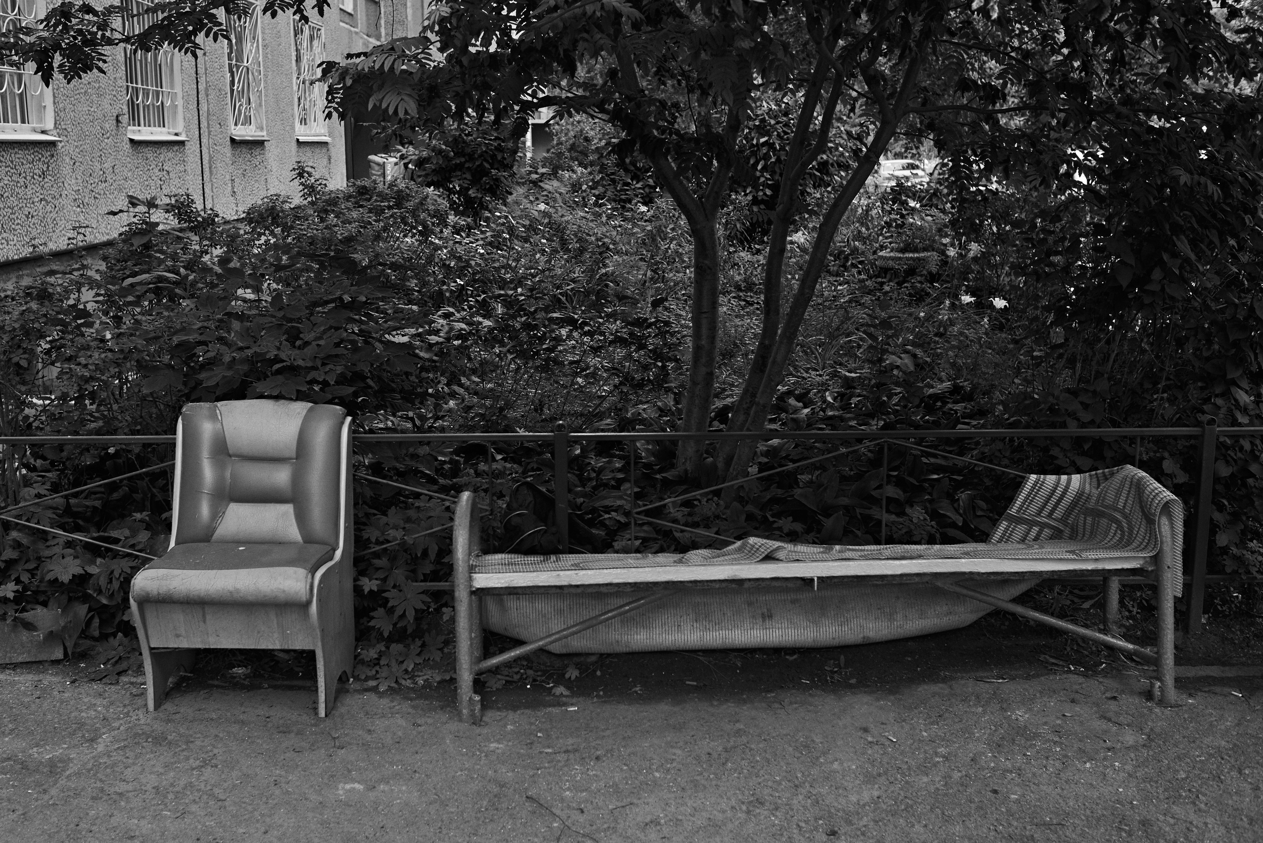 2024. Марфин. Фотограф