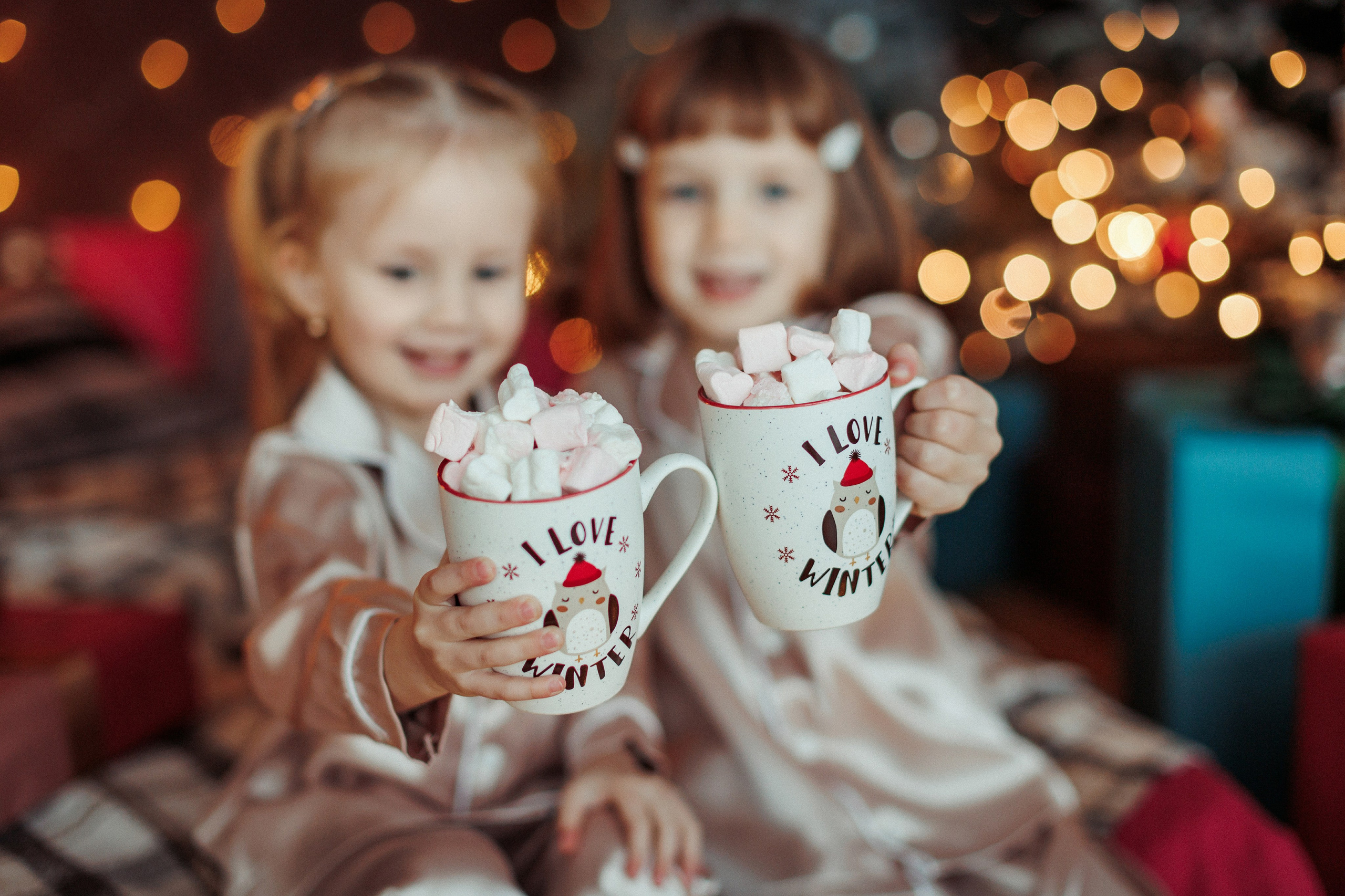 Новогодние. Свадебный, семейный и детский фотограф в городе Партизанск, Находка