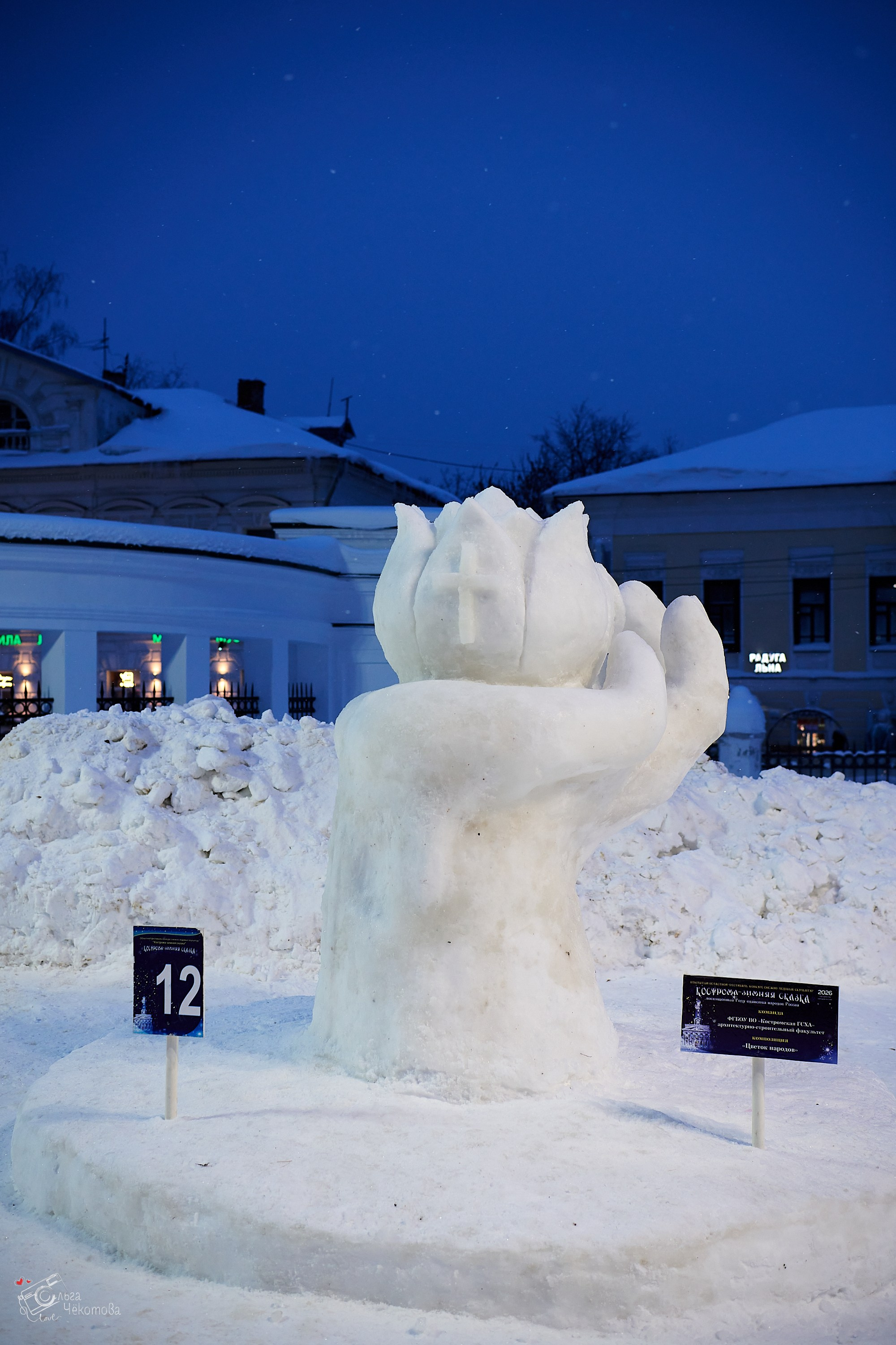 Кострома — зимняя сказка. Ольга Чёкотова (Фотограф Кострома)