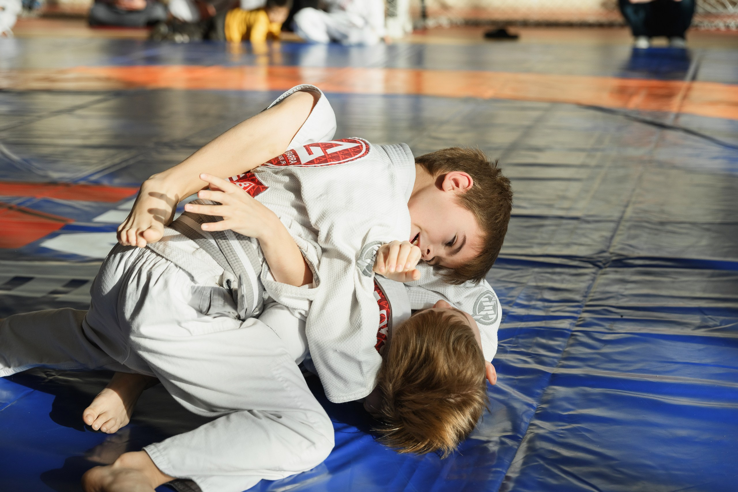 Фотограф Камчатка, Джиу Джитсу, Спорт, Соревнования, Боевые Искусства, РОСТ