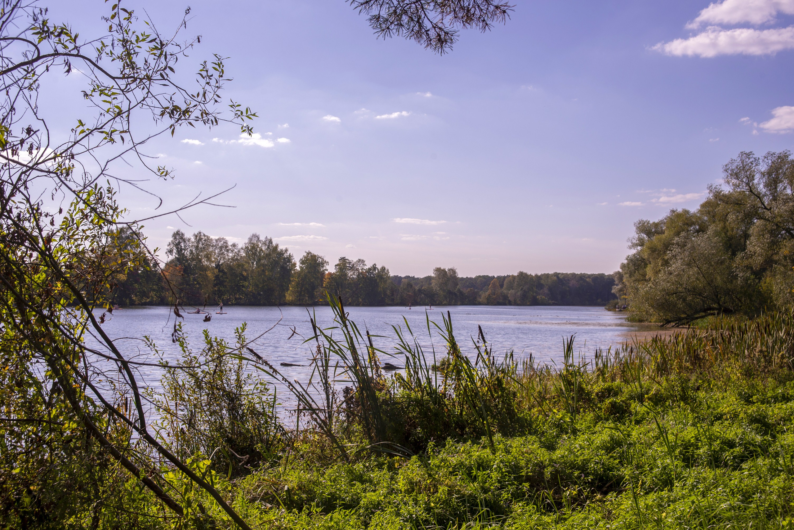 Архангельское. Сентябрь 2023. Игорь Жучков. Россия увиденная глазами путешествующего фотографа