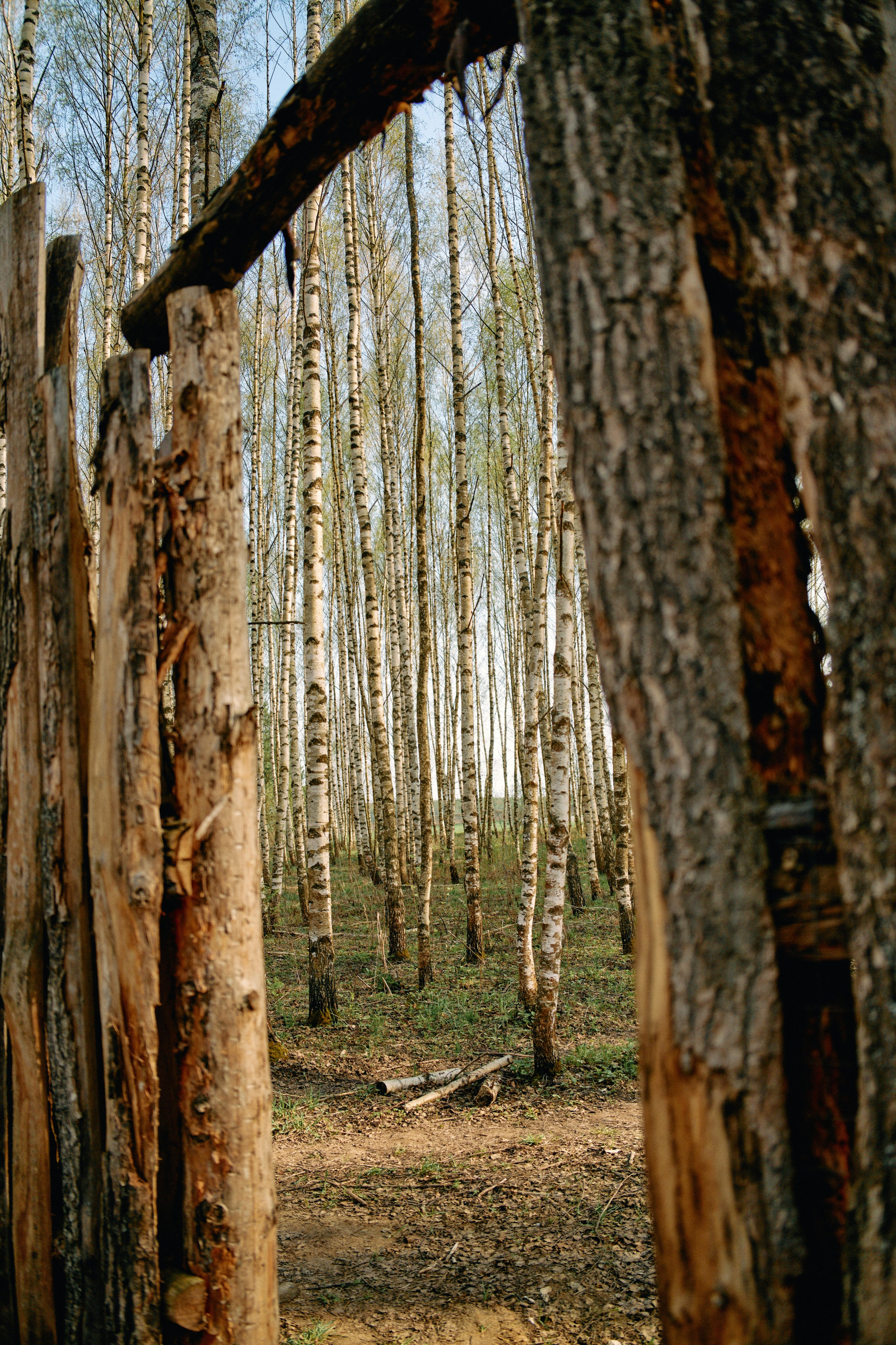 Бутик-отель Поле летом. Профессиональный Фотограф во Владимире, в Москве и в Суздале — Полина Романычева