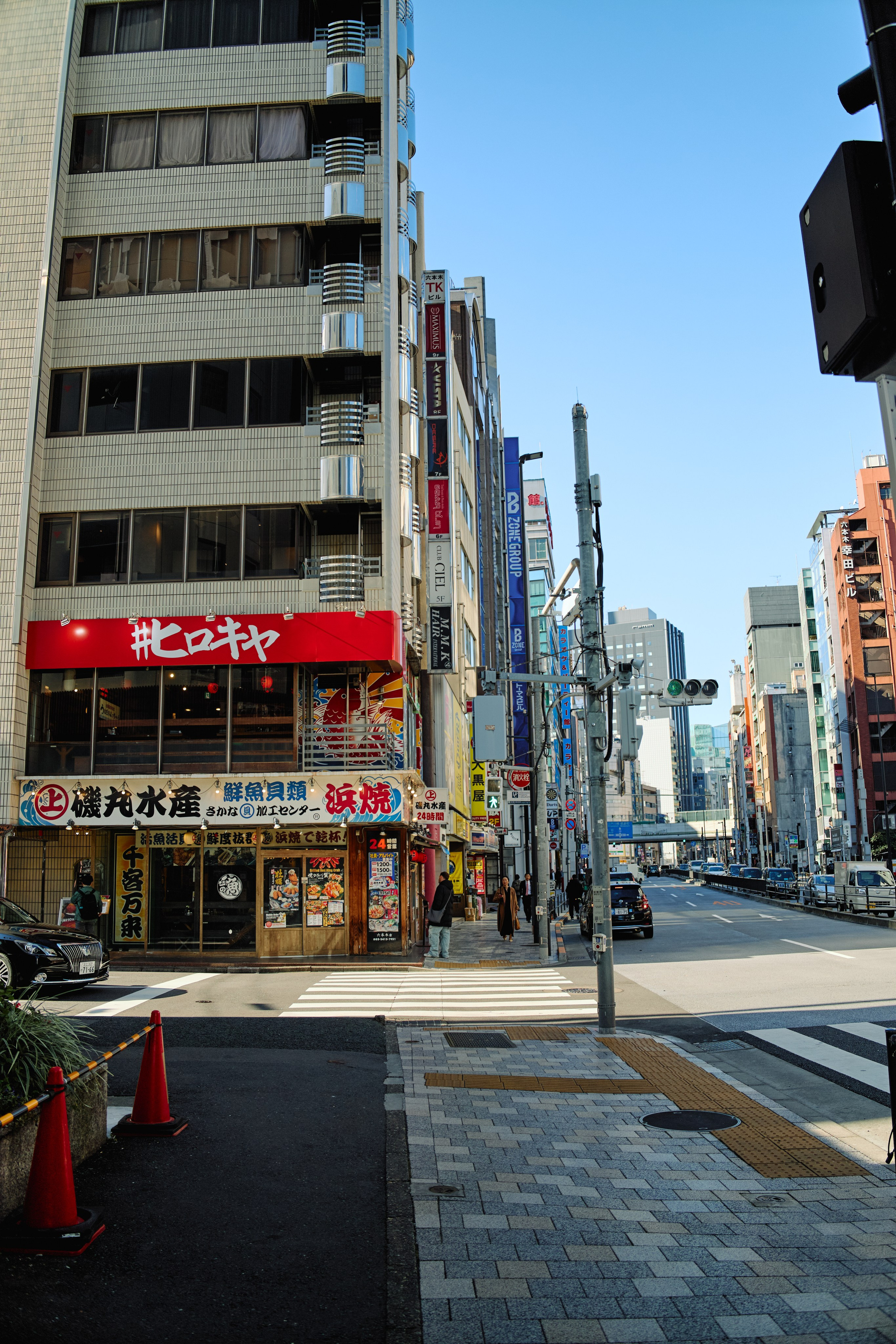 Япония. Профессиональный Фотограф во Владимире, в Москве и в Суздале — Полина Романычева