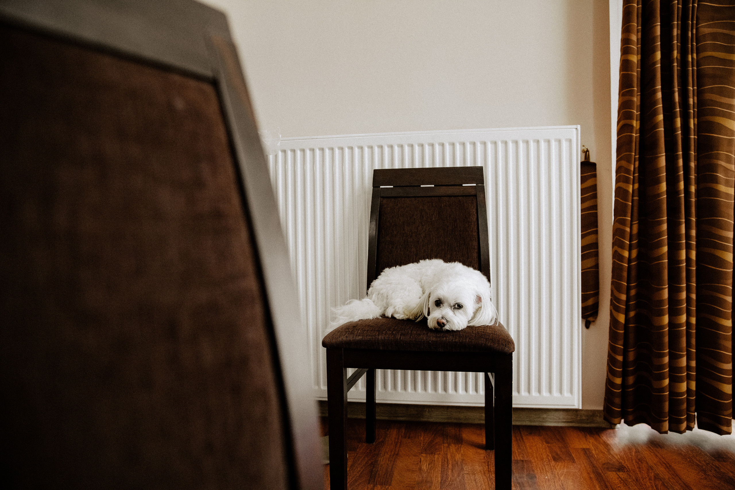 Свадьба Даша + Саша. Свадебный фотограф Ярославль, Рыбинск