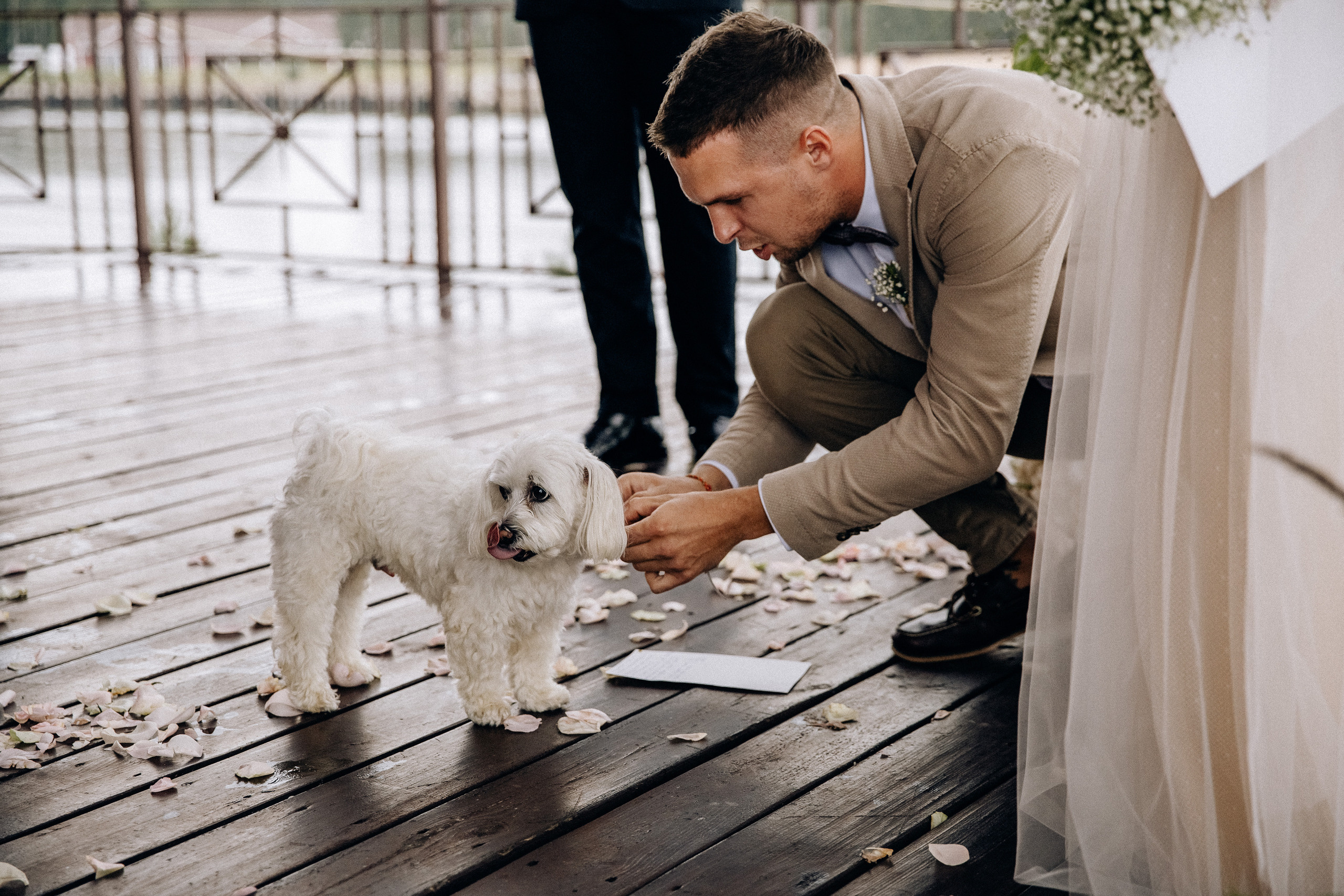 Свадьба Даша + Саша. Свадебный фотограф Ярославль, Рыбинск