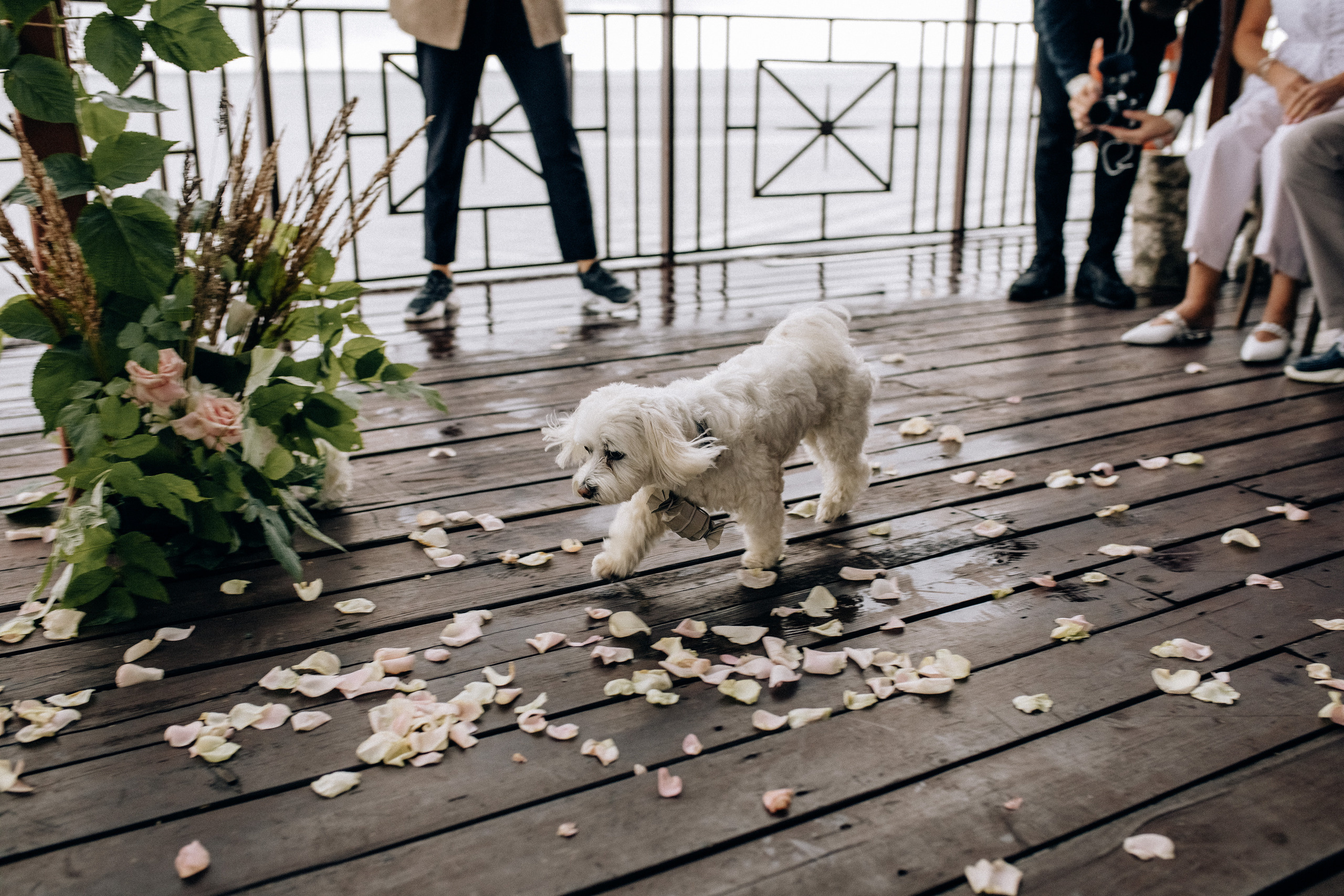 Свадьба Даша + Саша. Свадебный фотограф Ярославль, Рыбинск