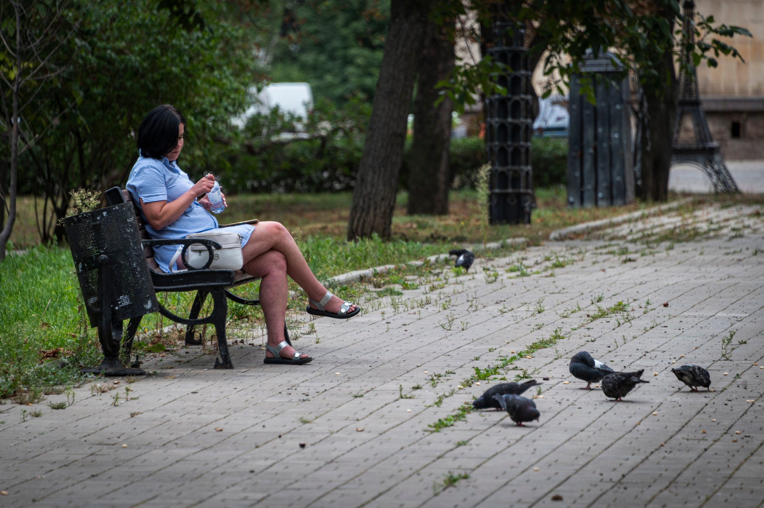 Фото для презентации фотопроекта «Территории». Фотопроект «Территории»