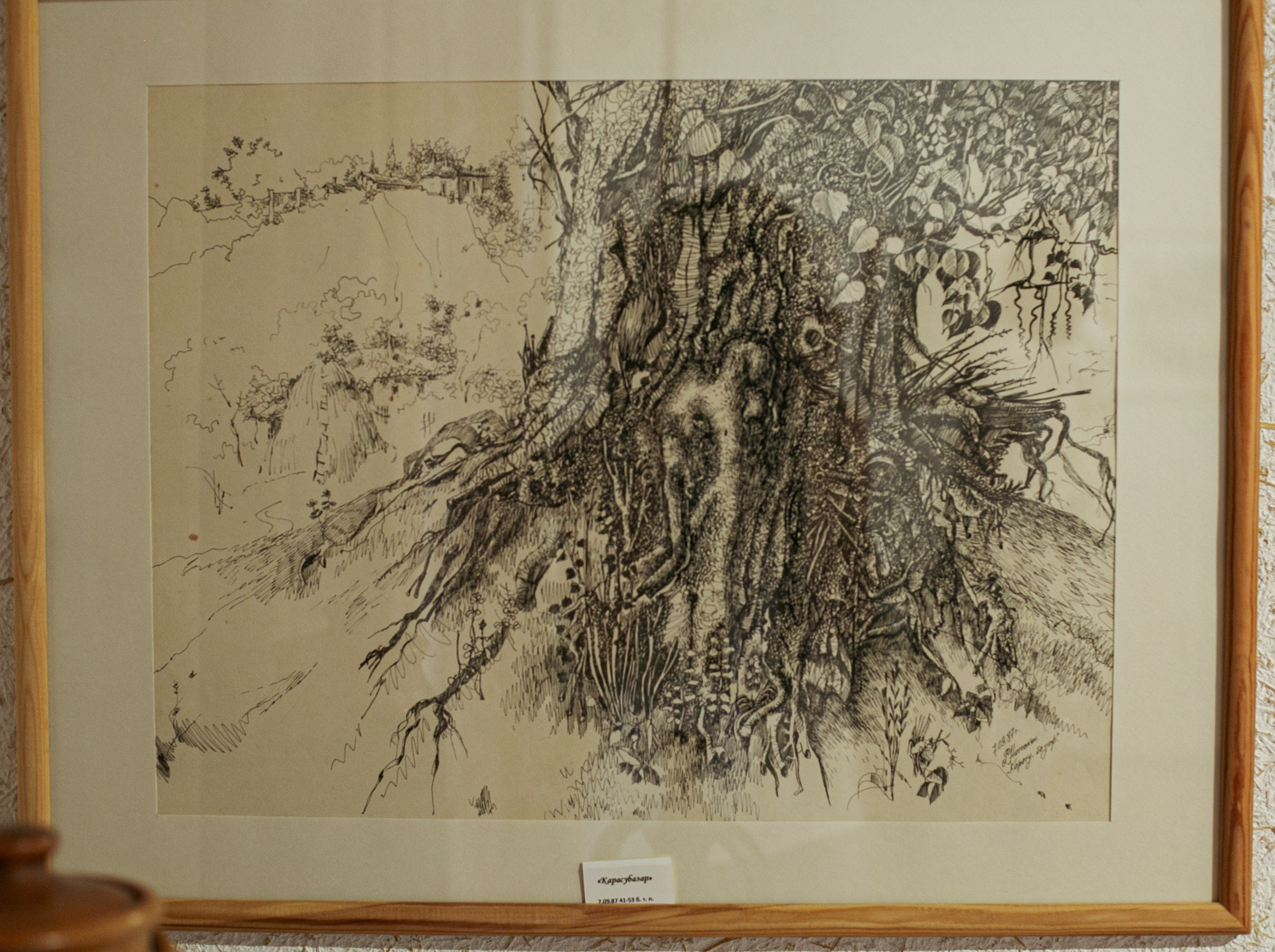 Ramiz Netovkin. Beye Shevkiyeva Photography