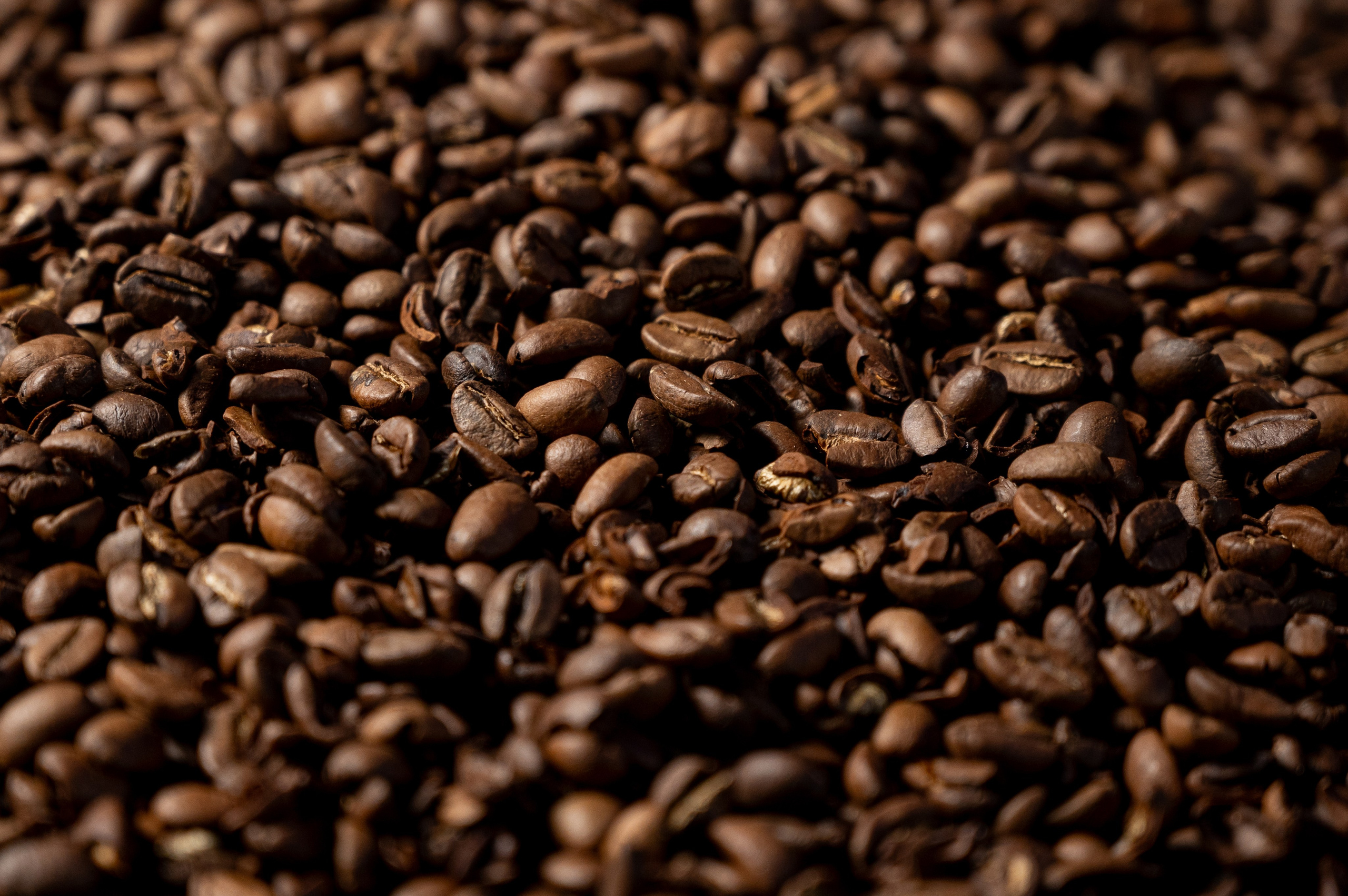 Предметы и объекты. Репортаж, Интерьеры, Мероприятия, SMM. Фотограф Ставрополь