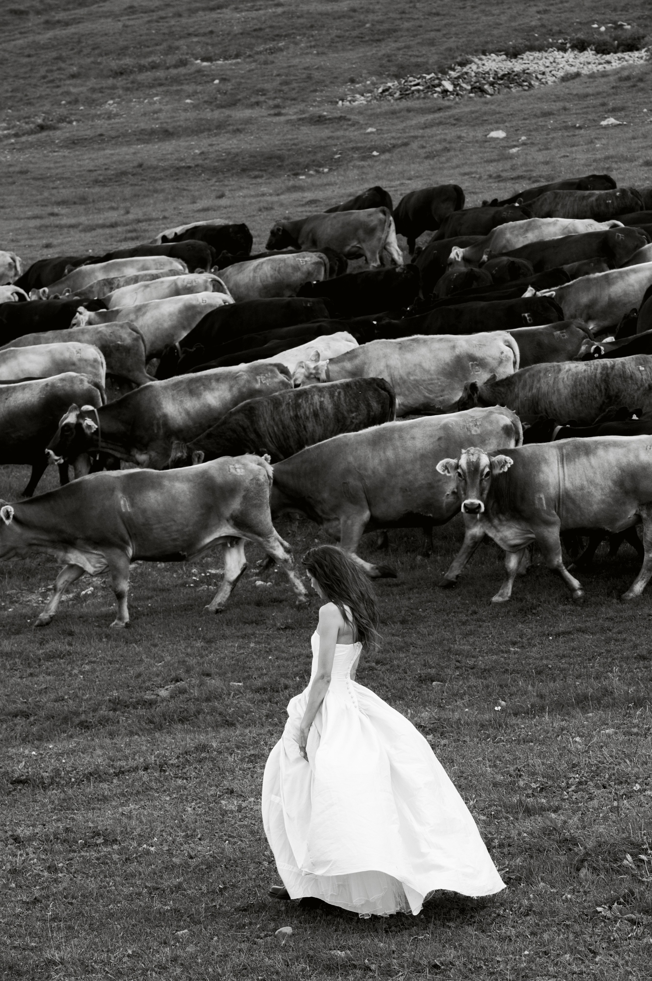 Владимир и Анна. Свадебный фотограф Ростов-на- Дону, Краснодар, Москва
