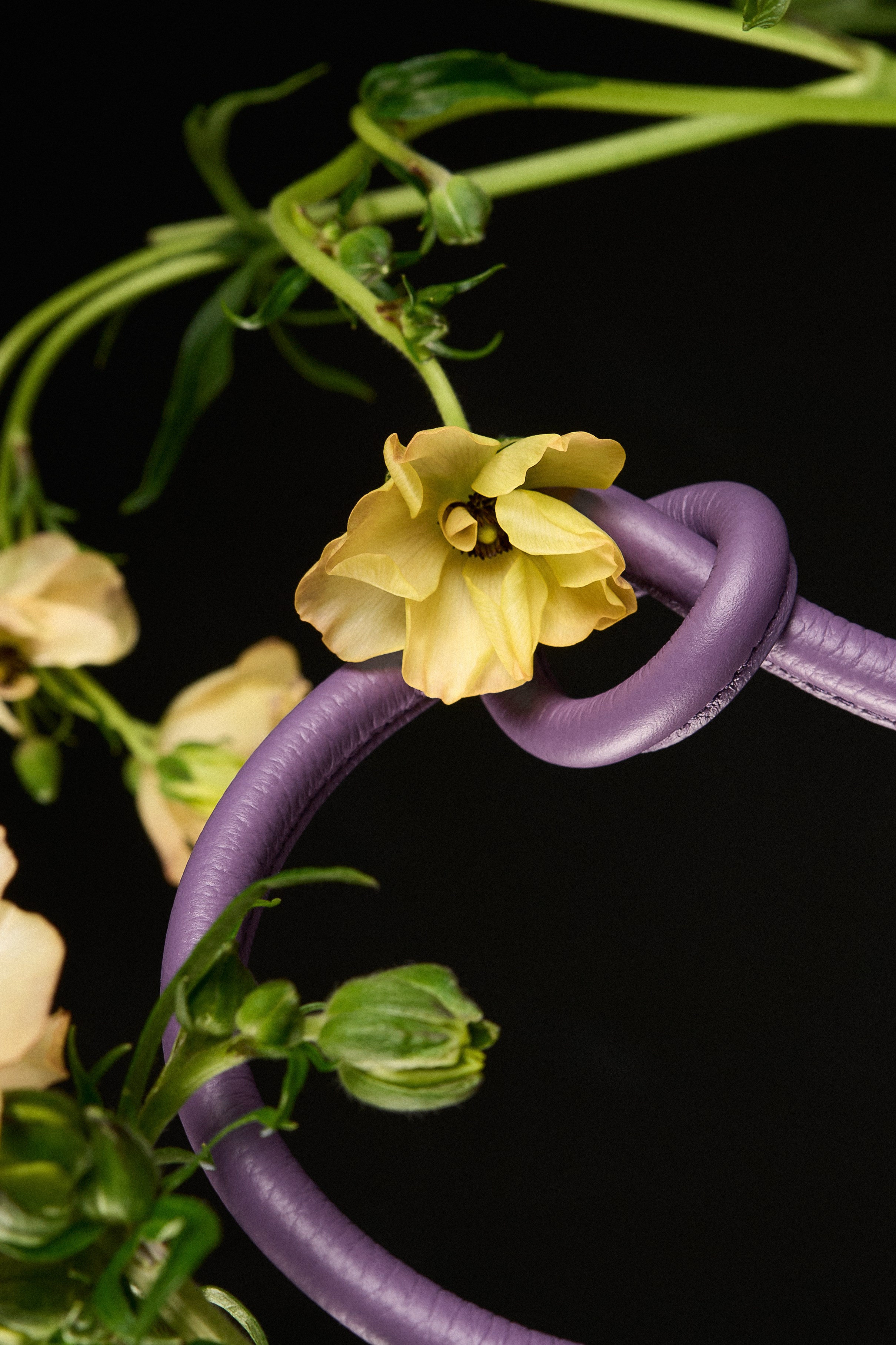 Предметка. Фотограф для бренда Санкт-Петербург. Фотограф съемки бренды Москва. Съемка каталога СПб