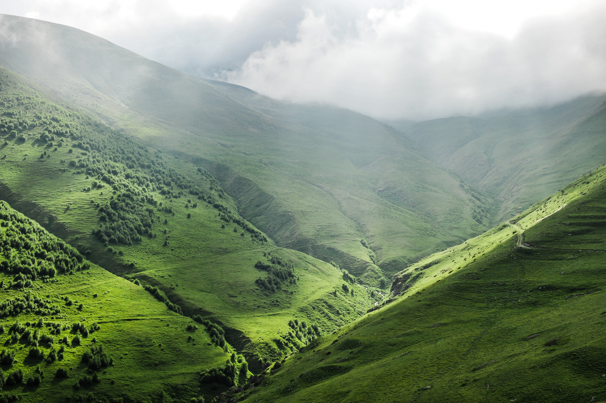 Природа. Фотограф и видеограф в Стокгольме — Любовь Лангер