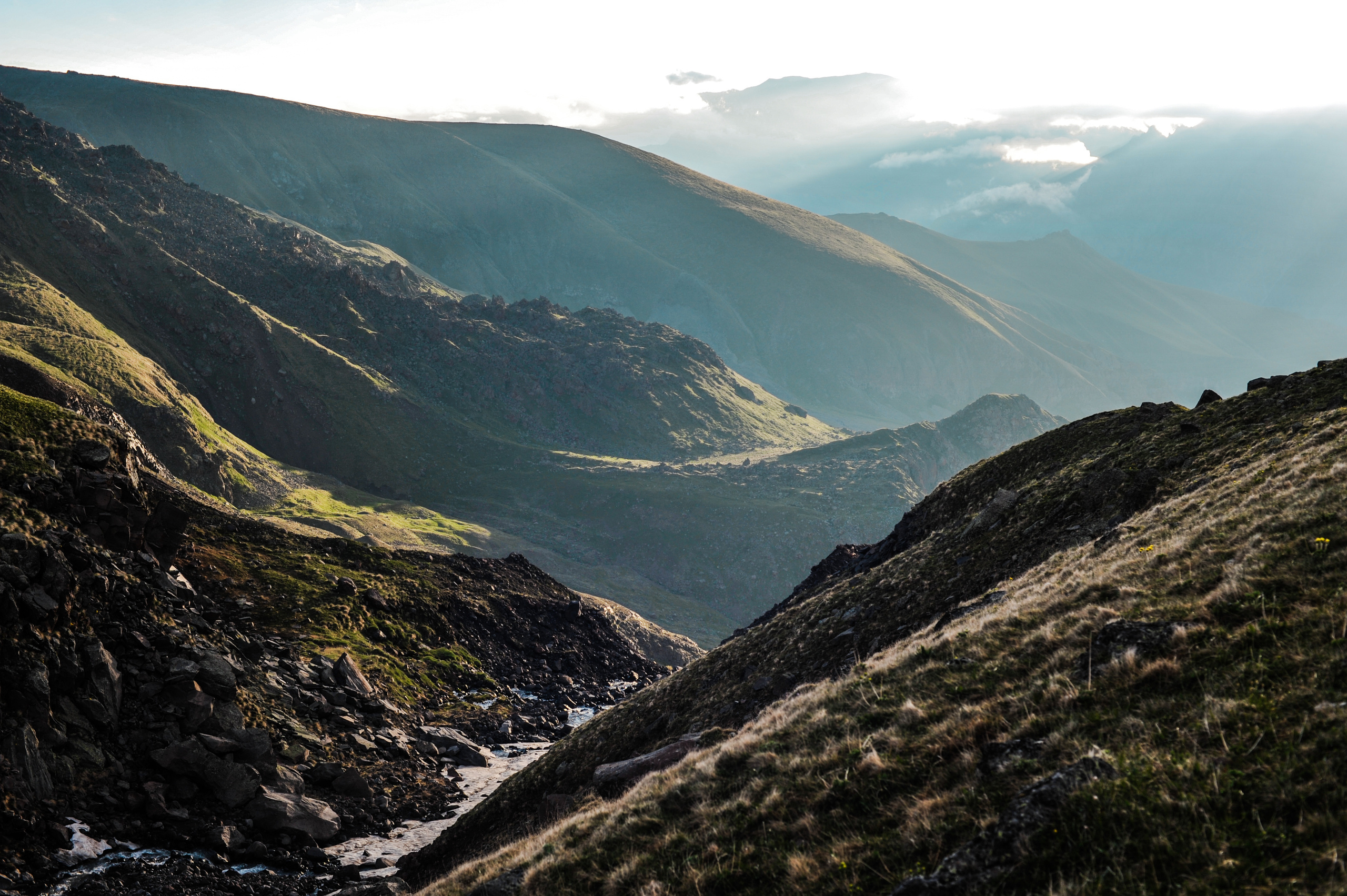 Природа. Фотограф и видеограф в Стокгольме — Любовь Лангер