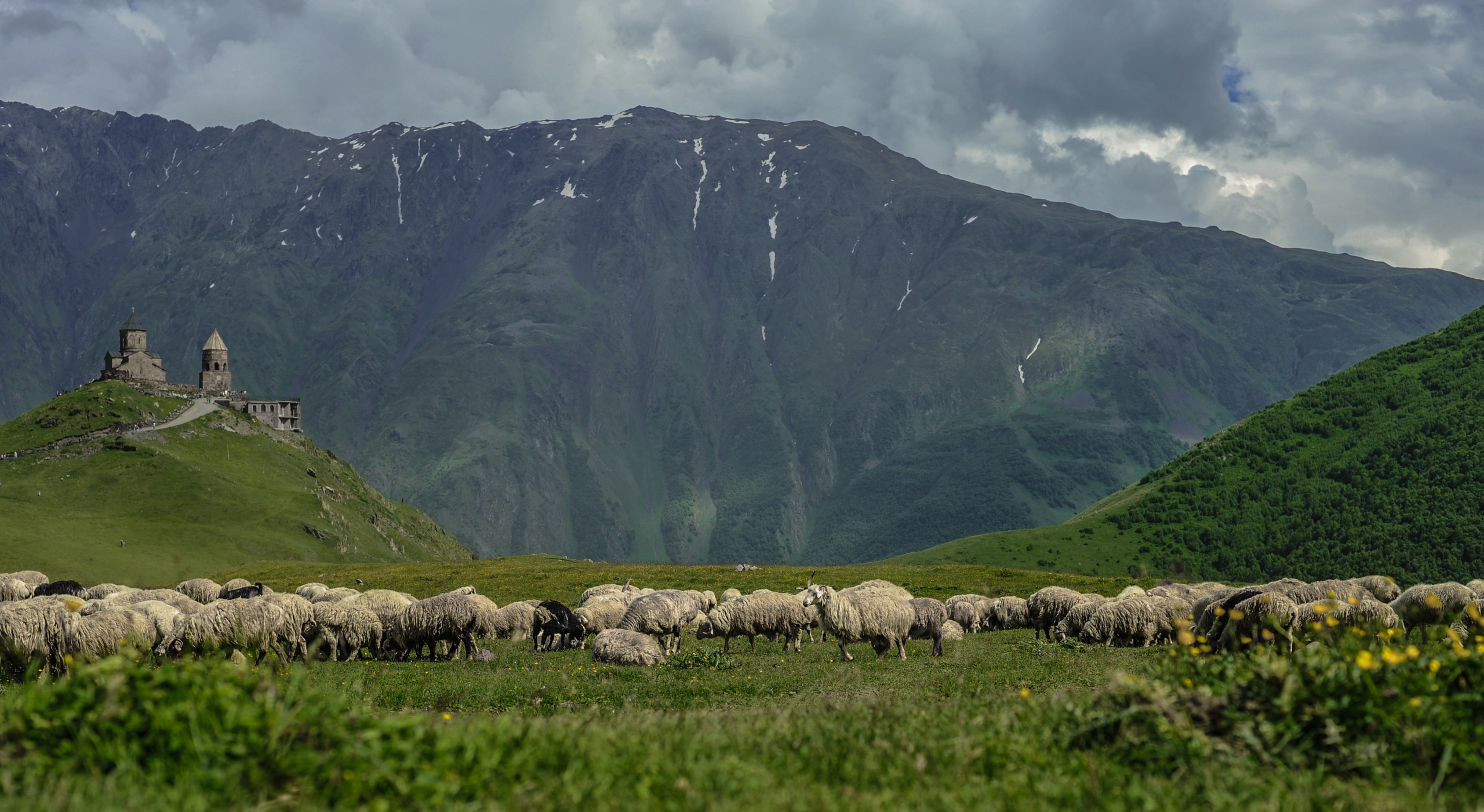 Природа. Фотограф и видеограф в Стокгольме — Любовь Лангер