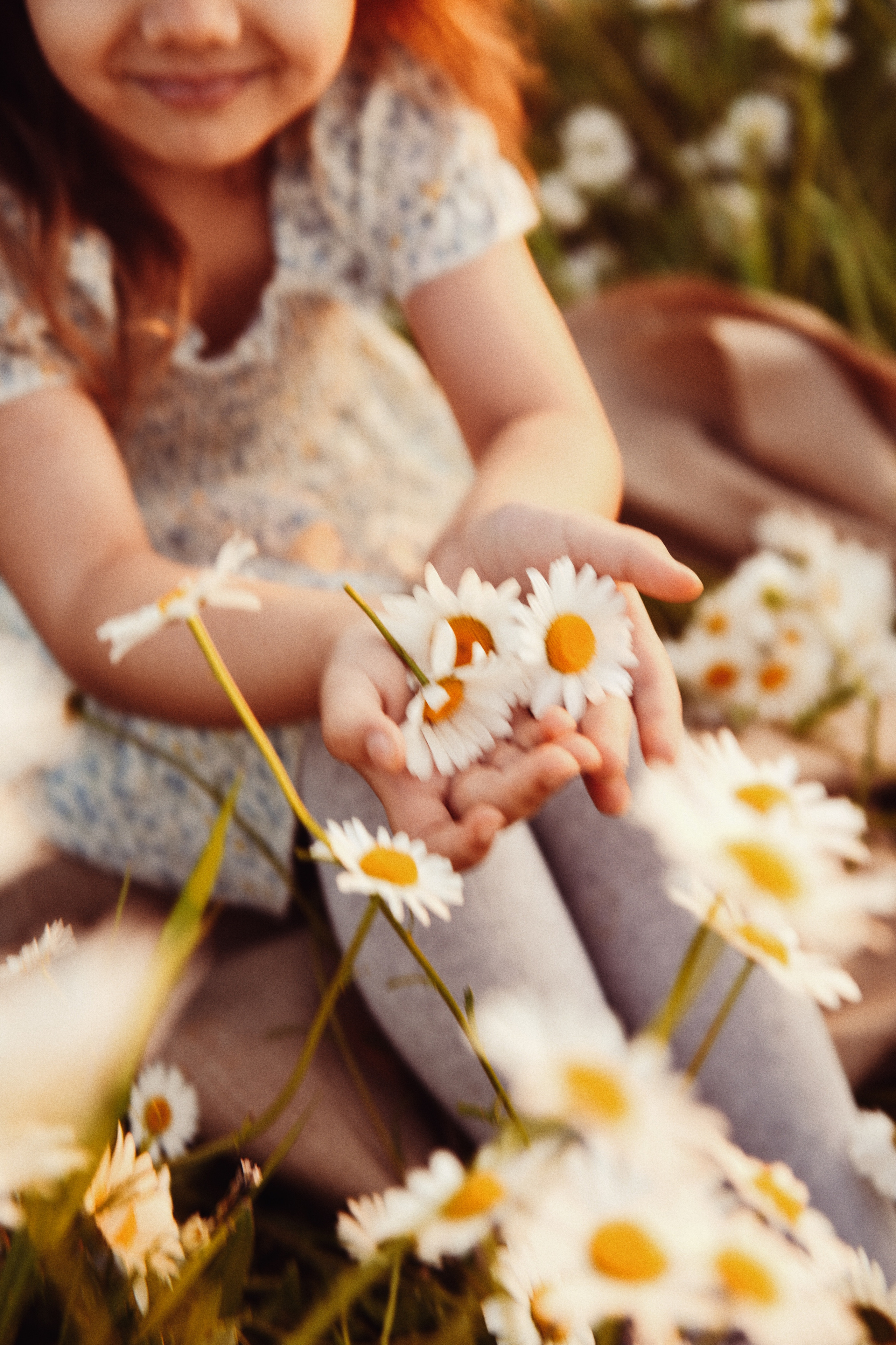 София, 5лет. Детский и семейный фотограф в Армавире Даша Зубкова