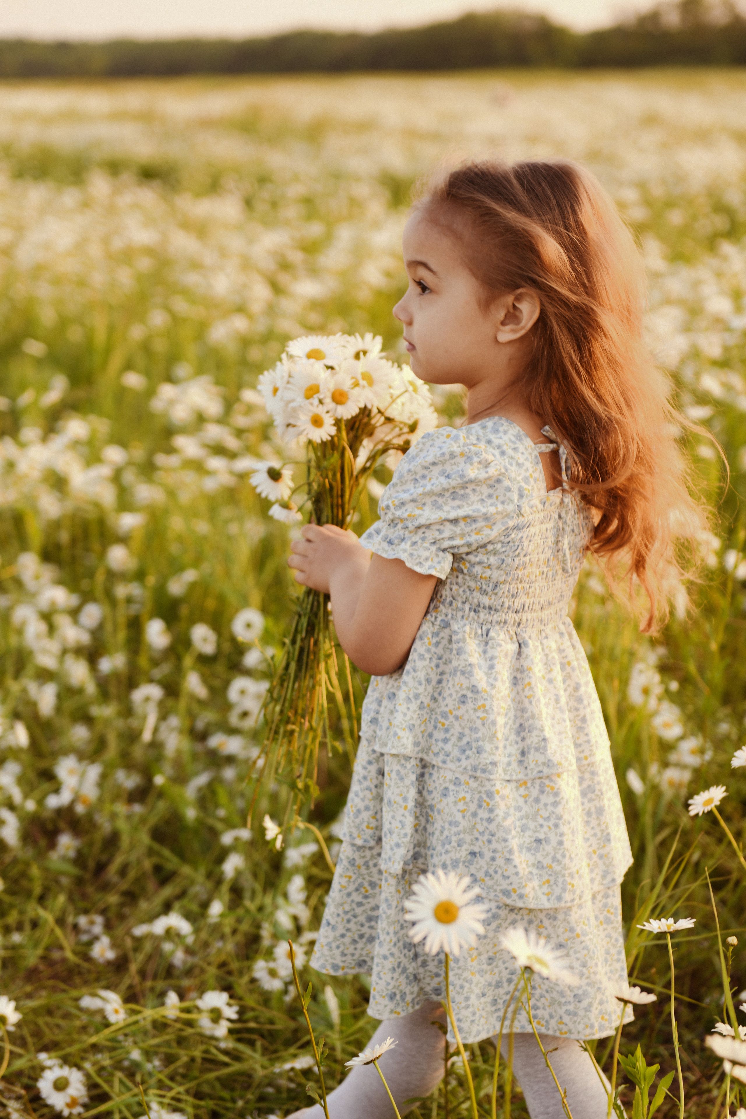 София, 5лет. Детский и семейный фотограф в Армавире Даша Зубкова