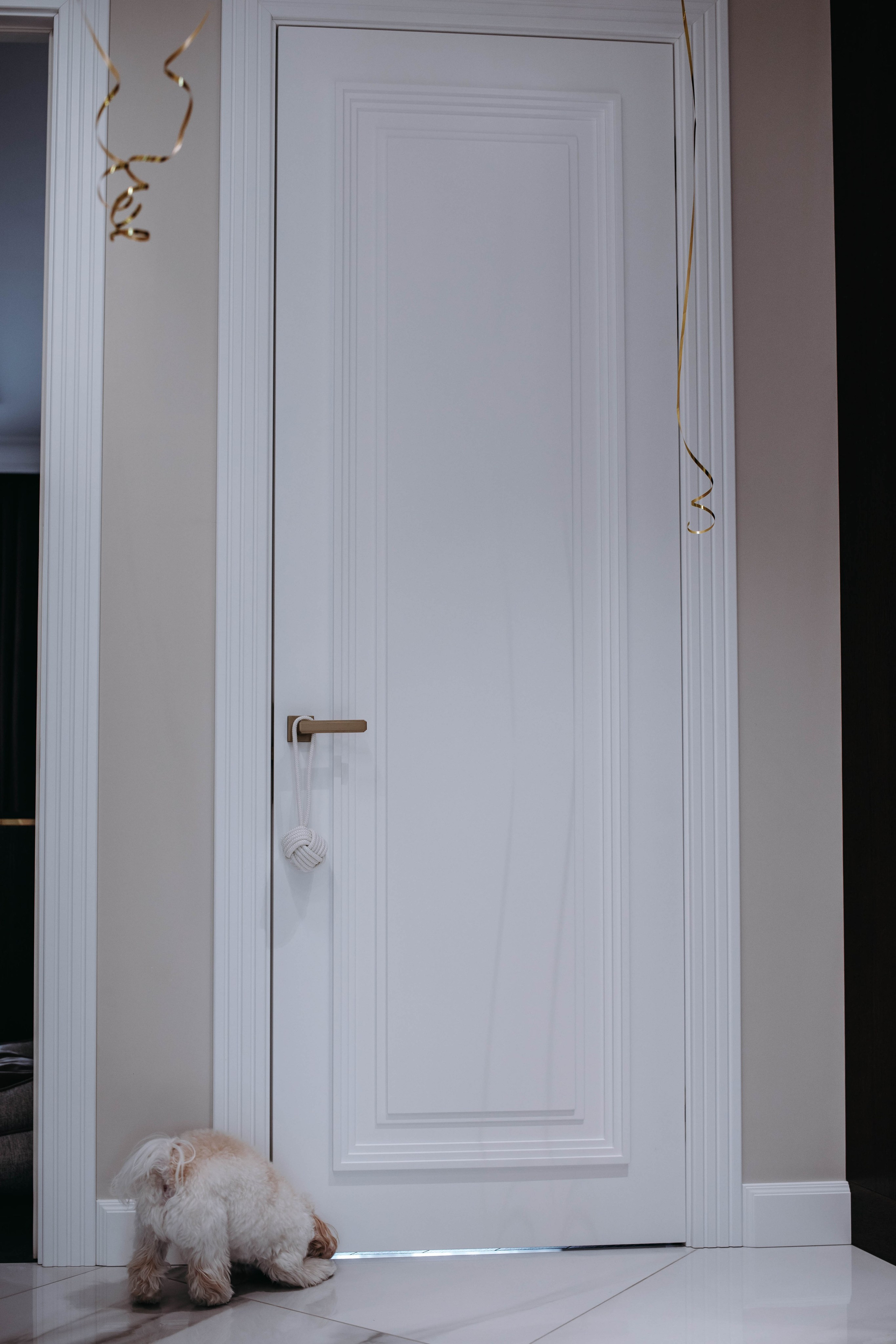 Белла. Профессиональный фотограф