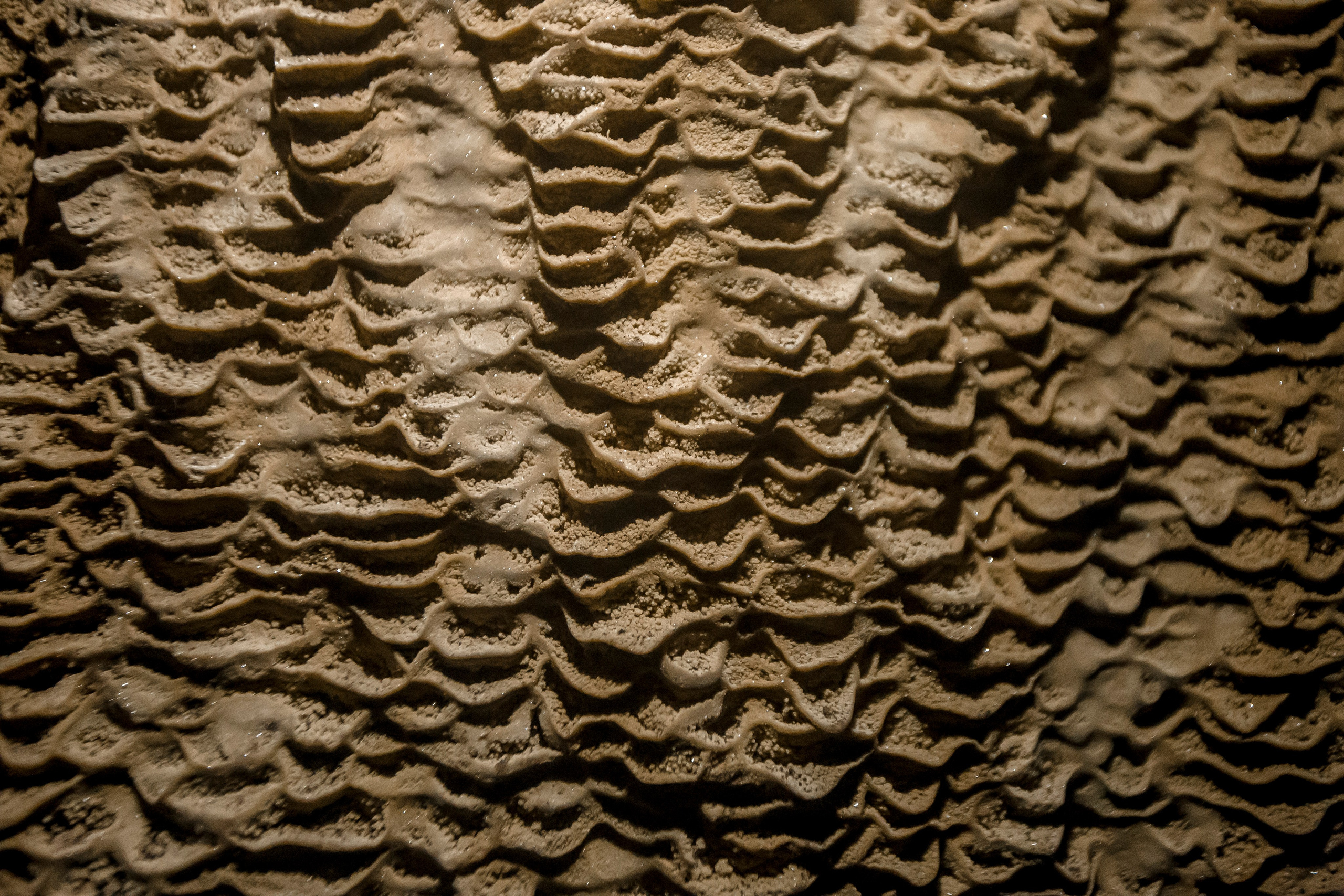 Andaman Islands, Part2. Art Photographer